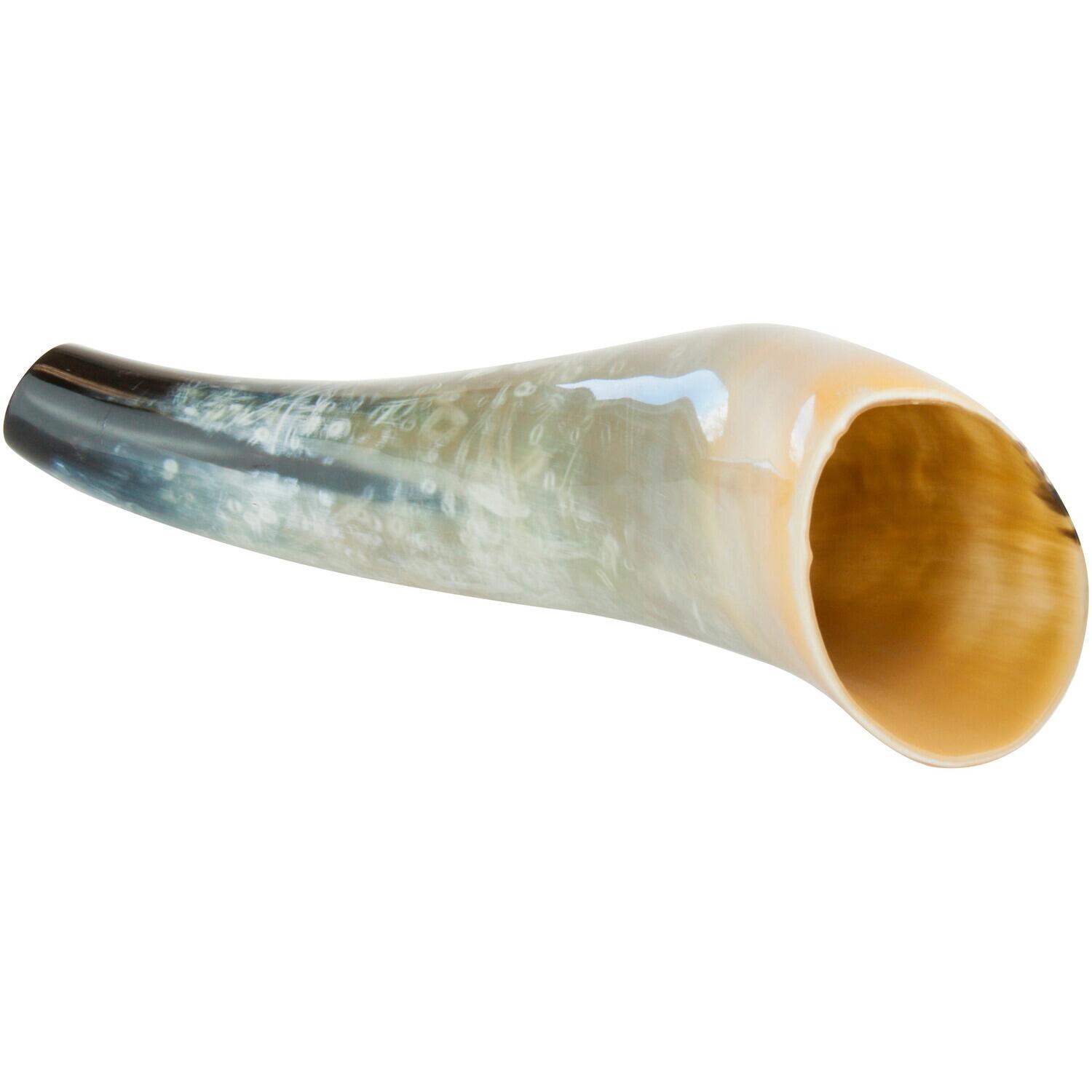 Hirschruf Ochsenhorn 2/6