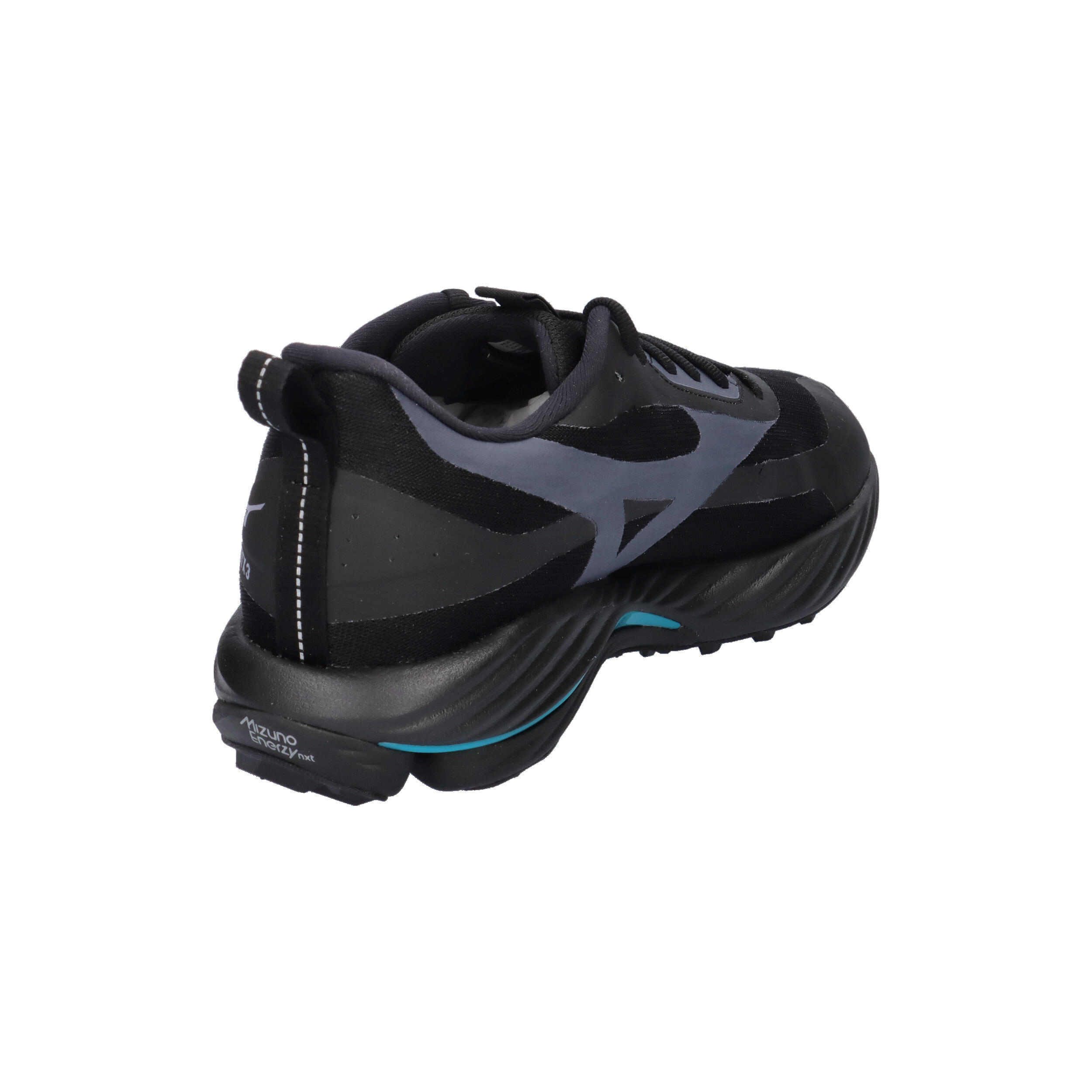 Buty do biegania męskie  Mizuno Wave Rider GTX 3 14/15