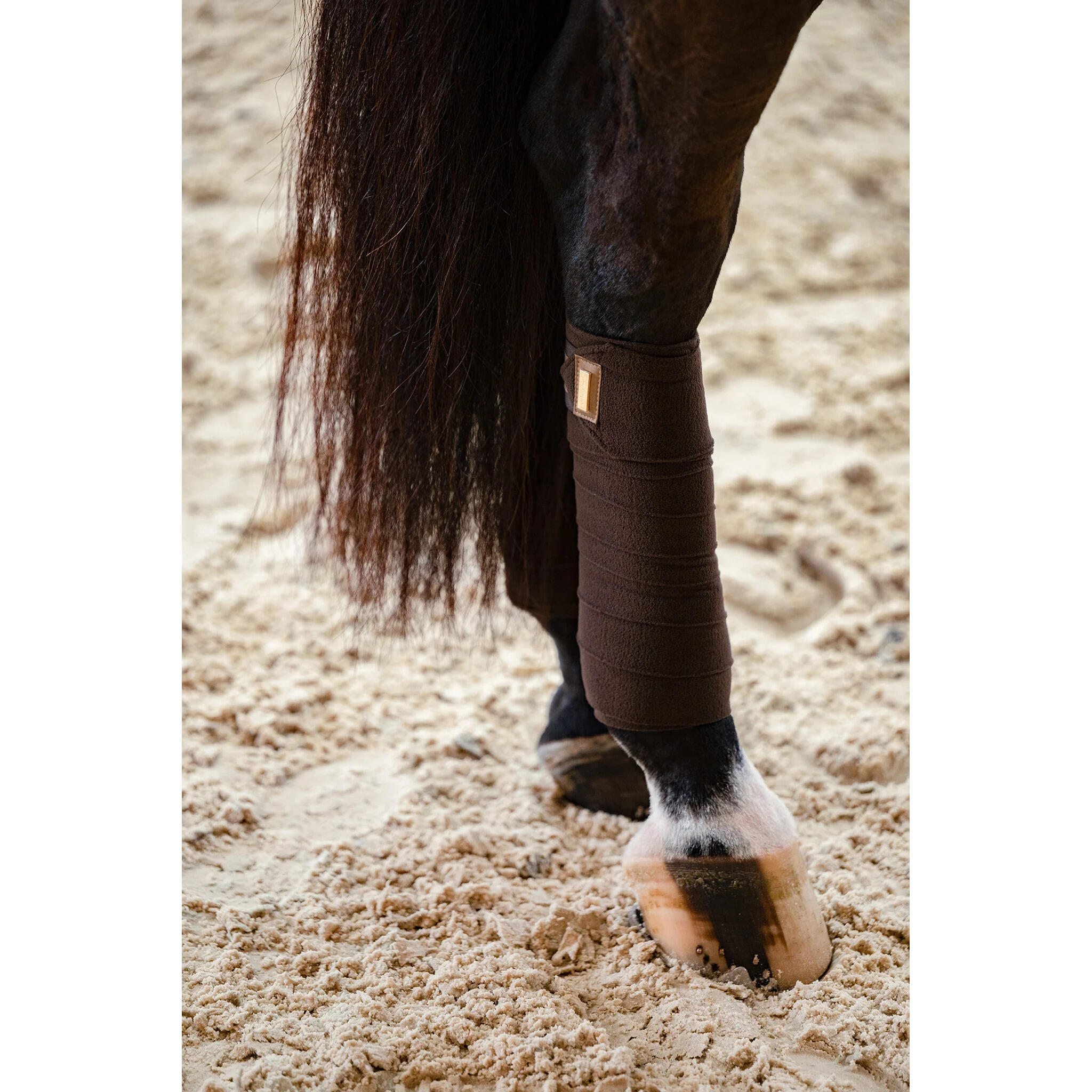 Bandes de polo pour cheval Equestrian Stockholm 3/4