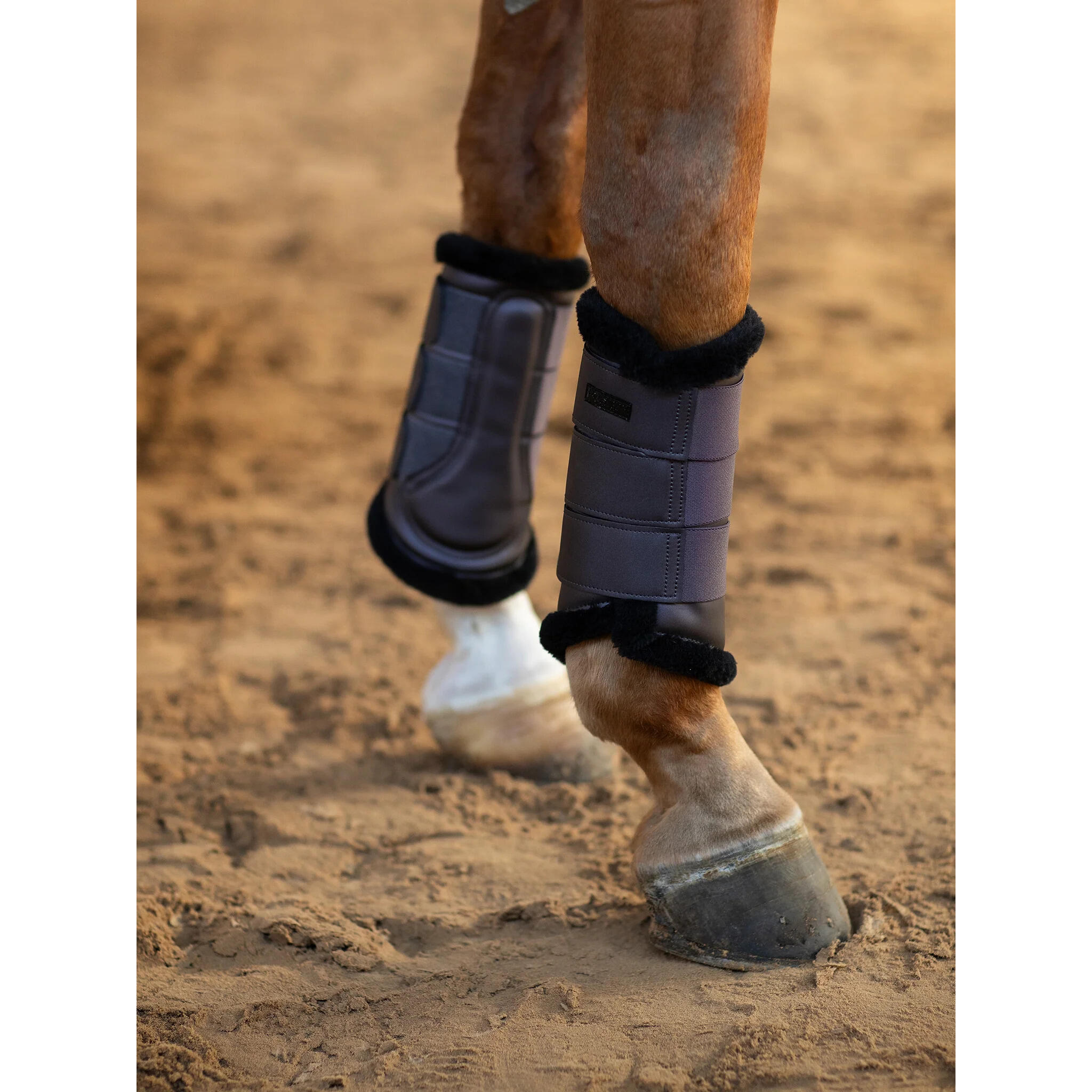 Guêtres fermées pour cheval Equestrian Stockholm 2/5