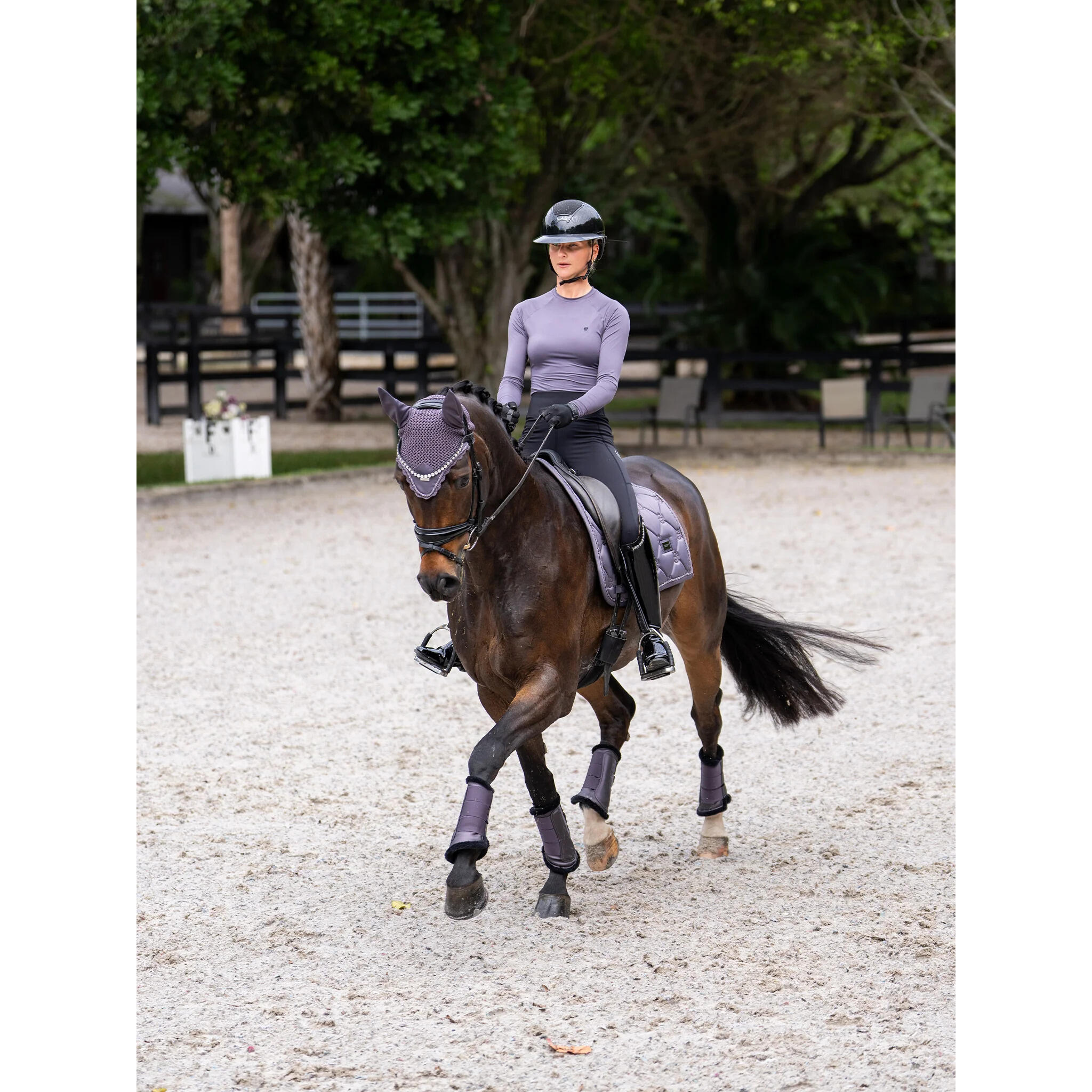 Guêtres fermées pour cheval Equestrian Stockholm 5/5