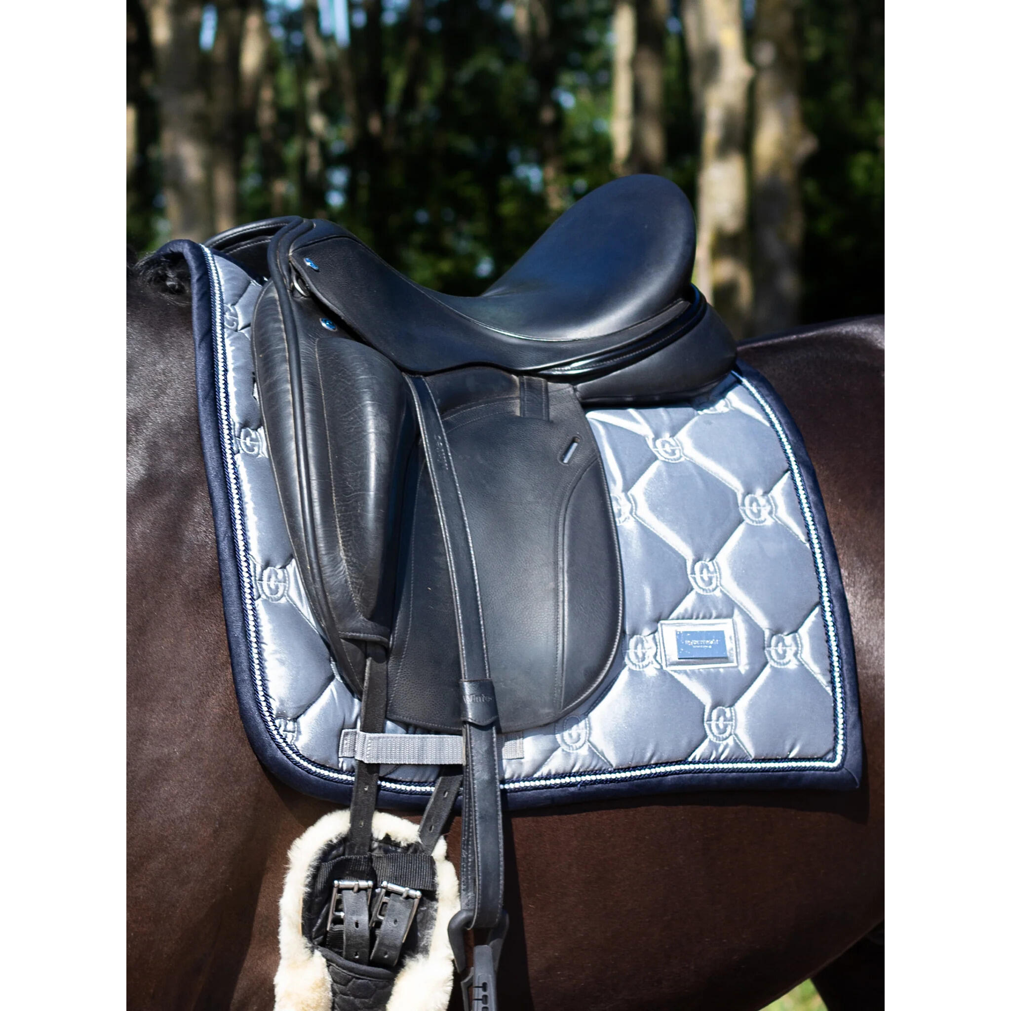 Dressur Schabracke Equestrian Stockholm 2/3