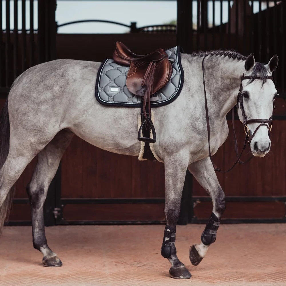 EQUESTRIAN STOCKHOLM picture