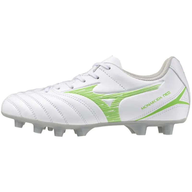 MIZUNO picture
