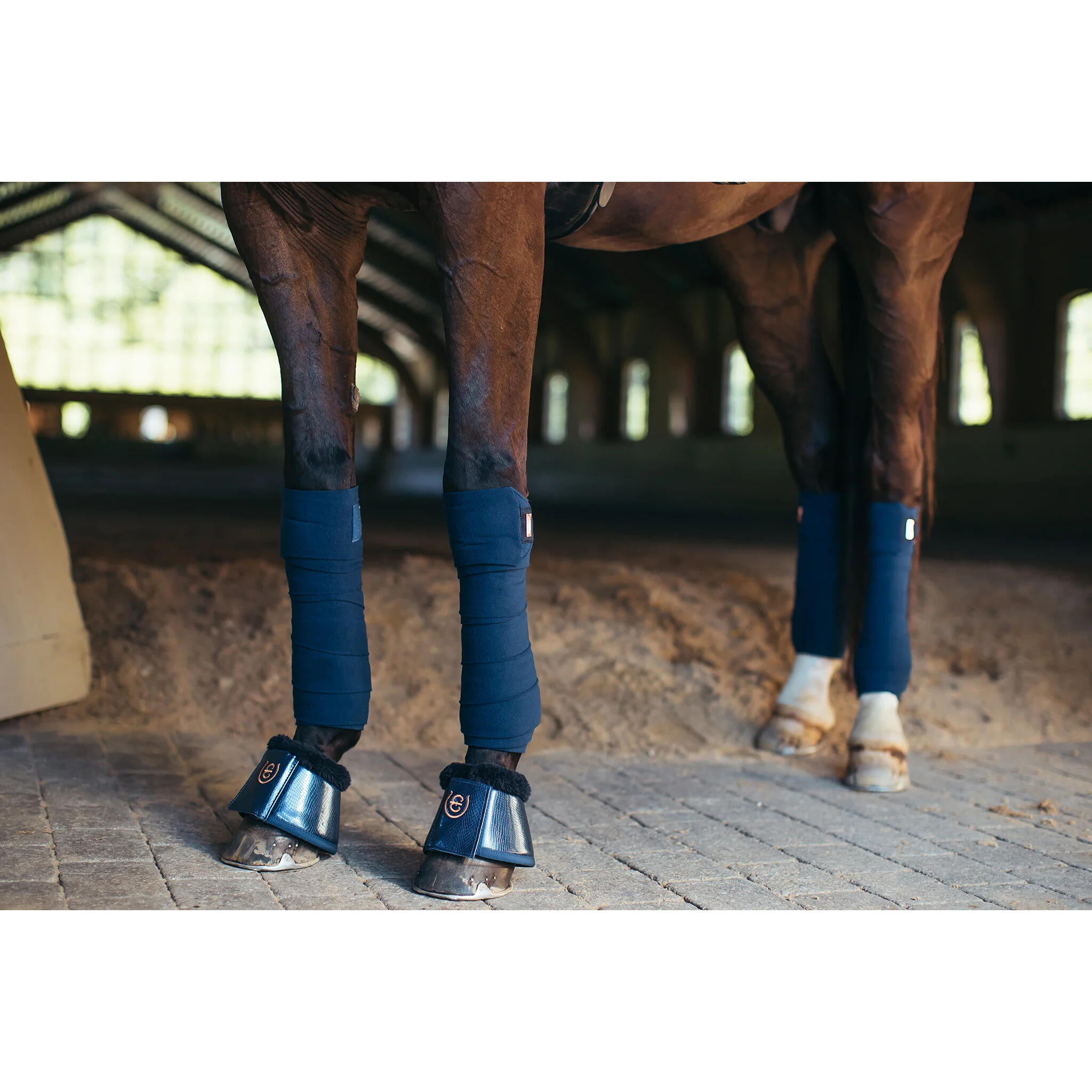 Cloches pour cheval Equestrian Stockholm 4/4