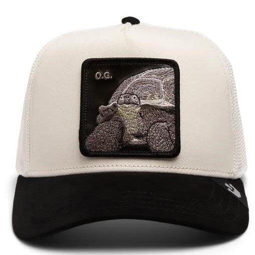 9e01f8c1-5c24-4b3f-892e-a04210d06d07_c1