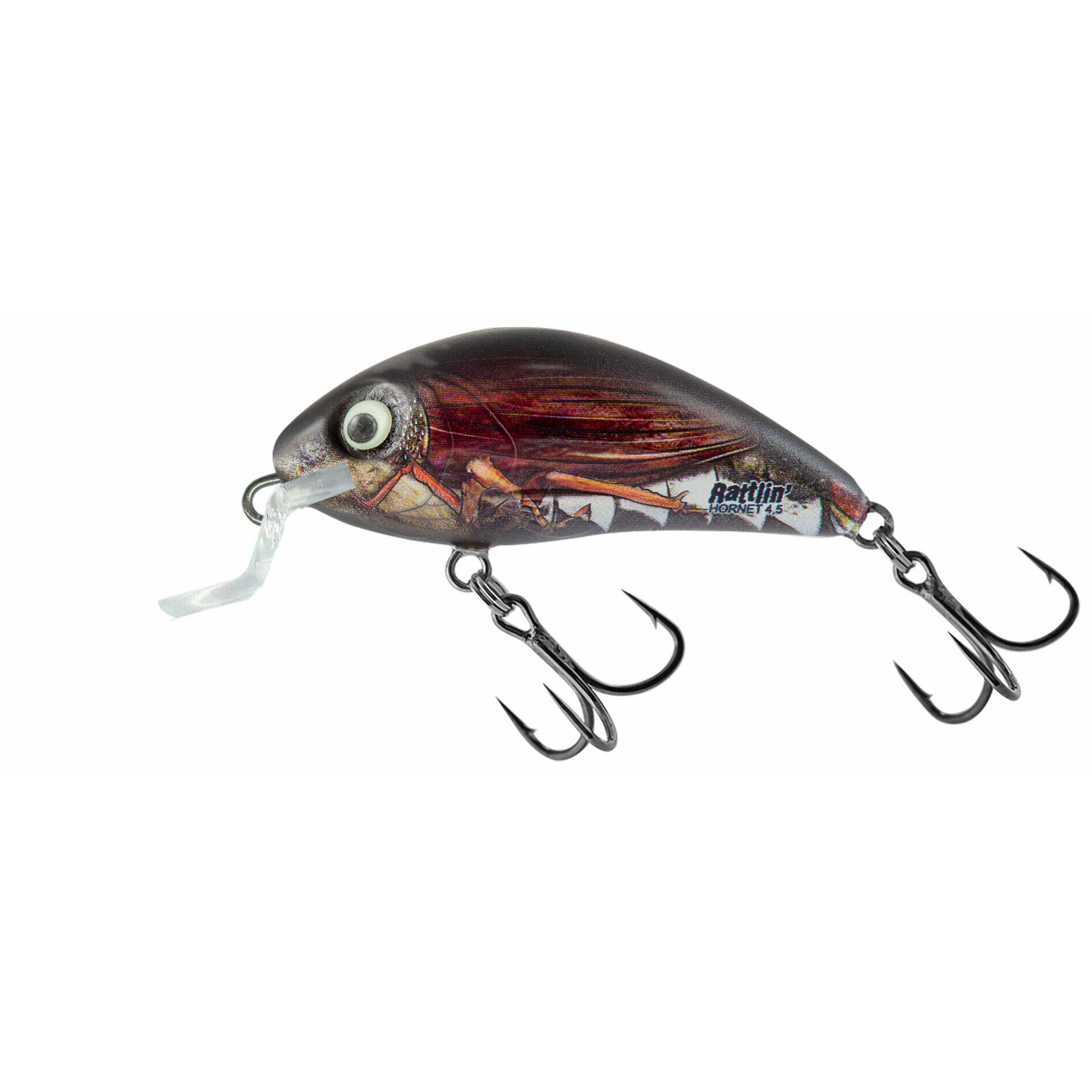 SALMO picture