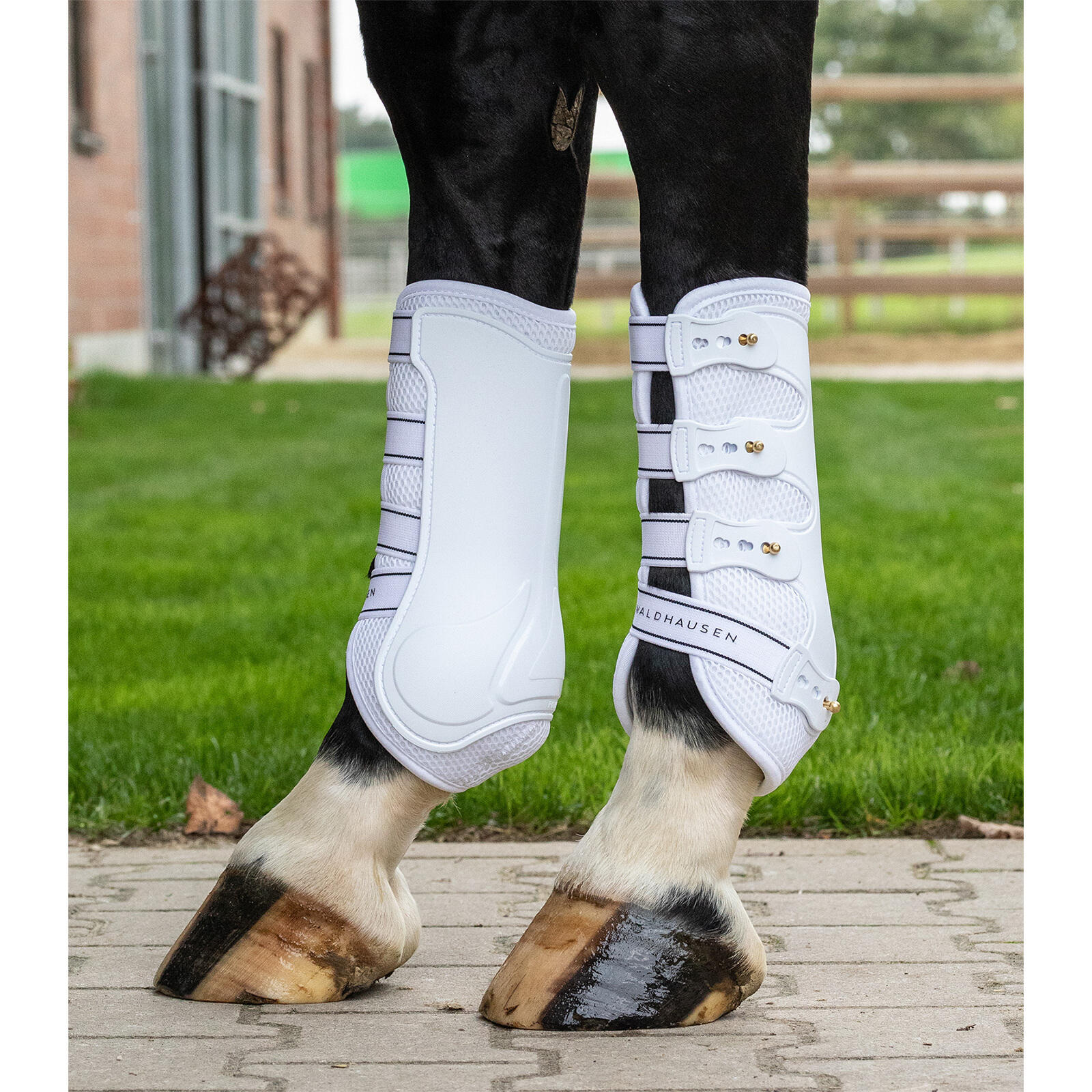 Horse gaiters Waldhausen Breath 3/3
