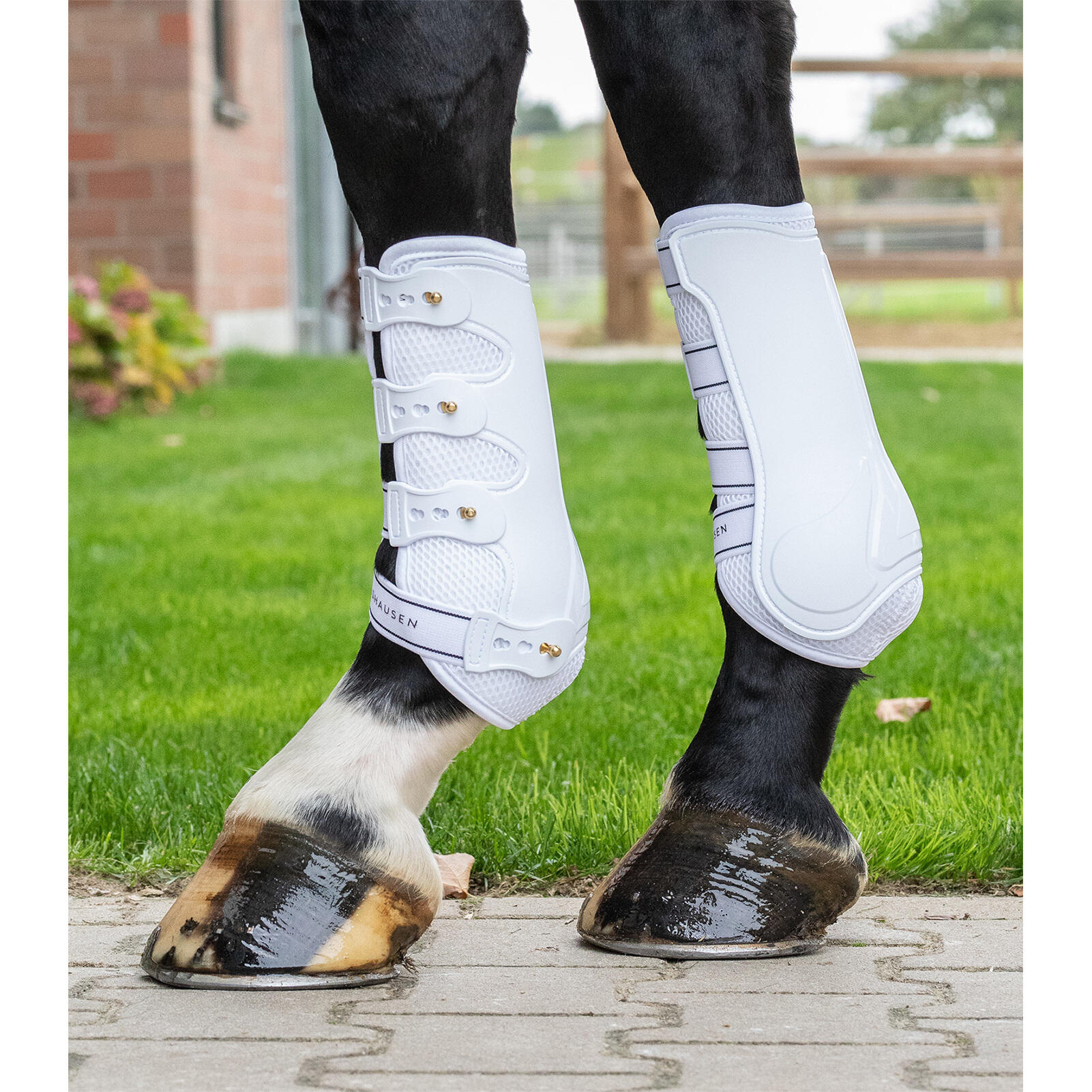 Horse gaiters Waldhausen Breath 2/3