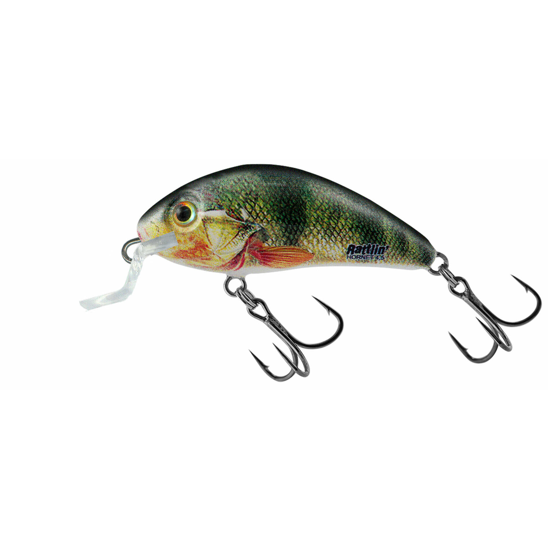 SALMO picture