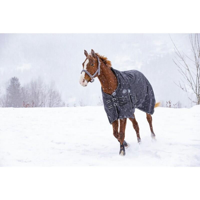 Manta para cavalos Riding World Oxford 3/5