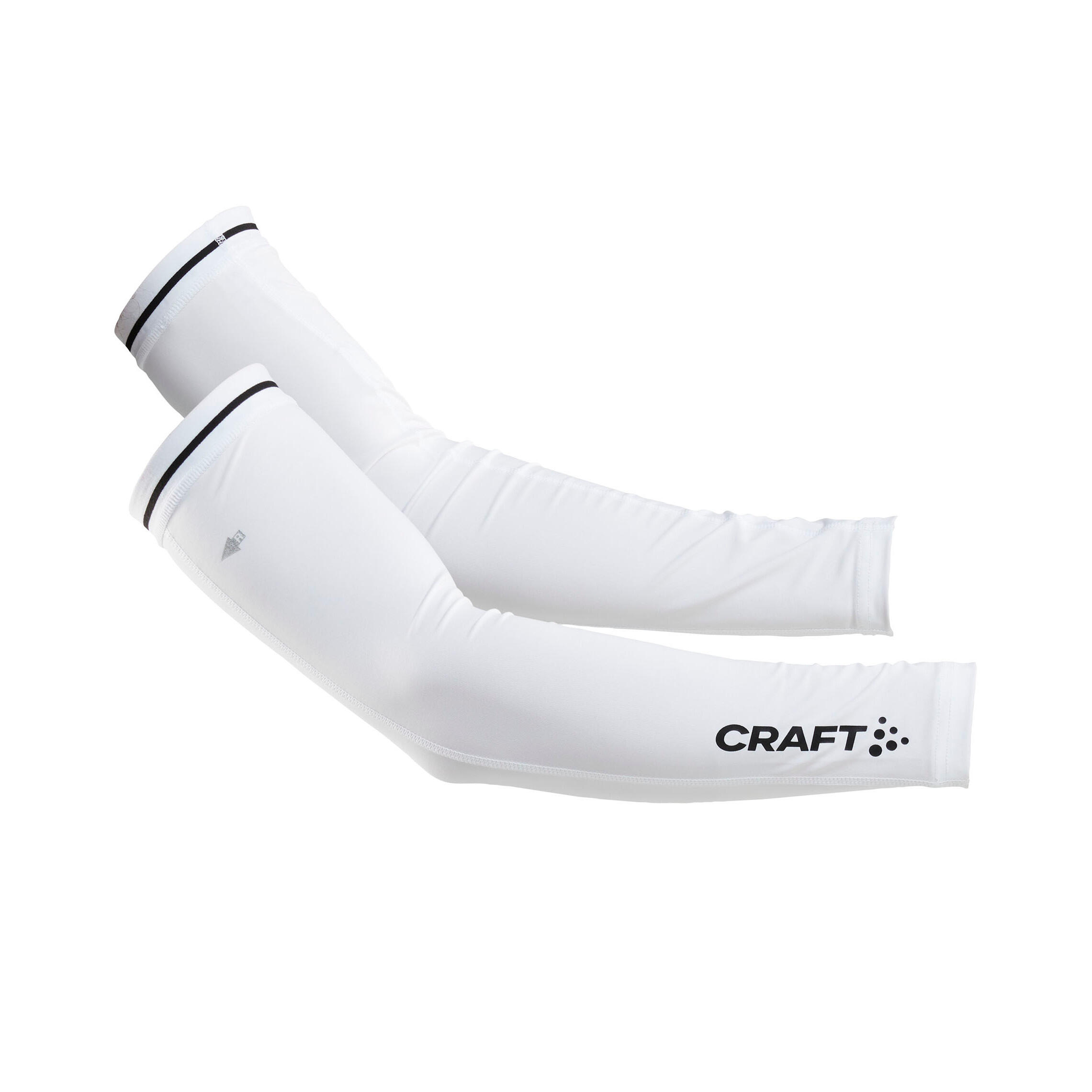 CRAFT picture