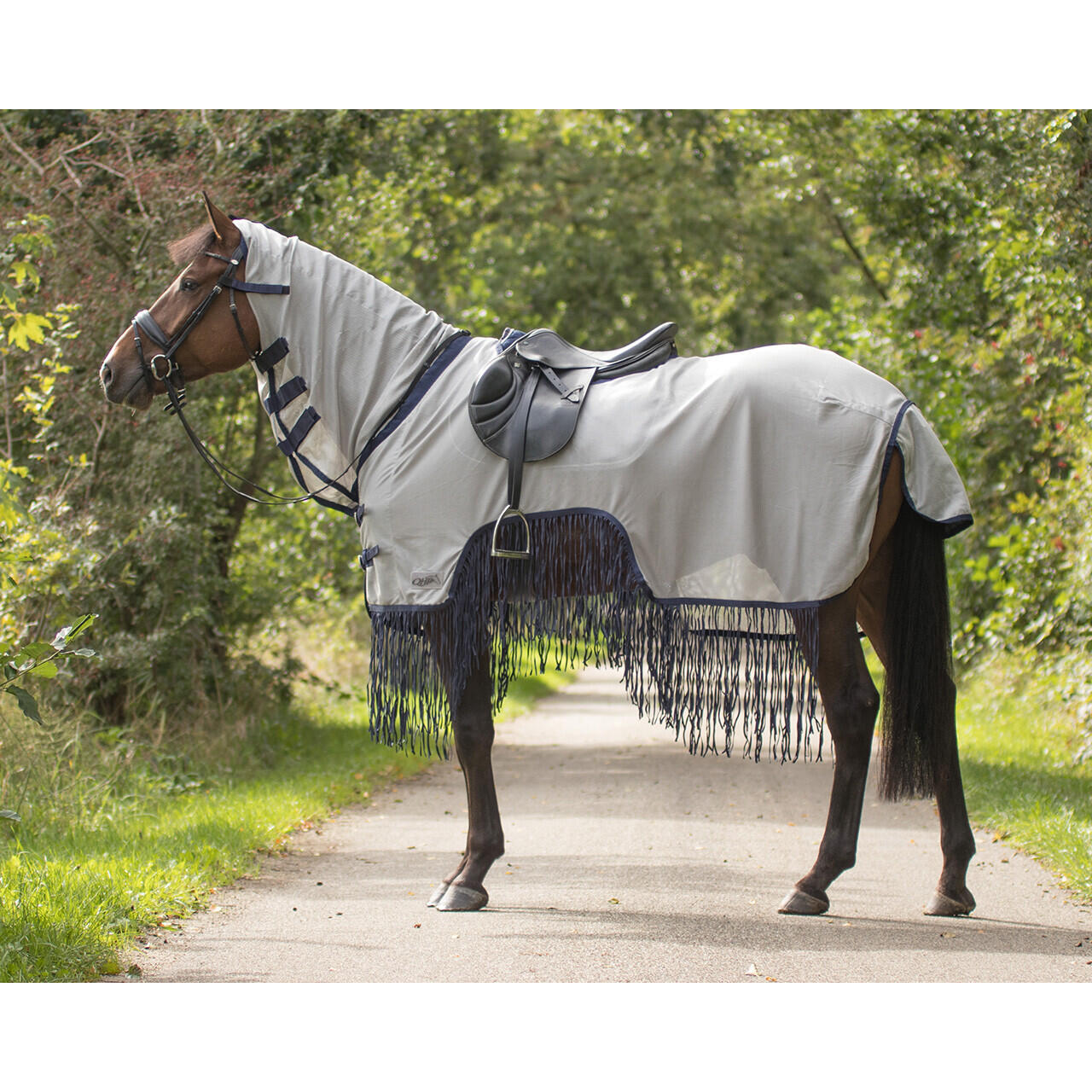 Qhp - Couverture Anti-mouches Pour Cheval Avec Franges Qhp - Couverture Cheval - Gris - 195 Cm - Decathlon