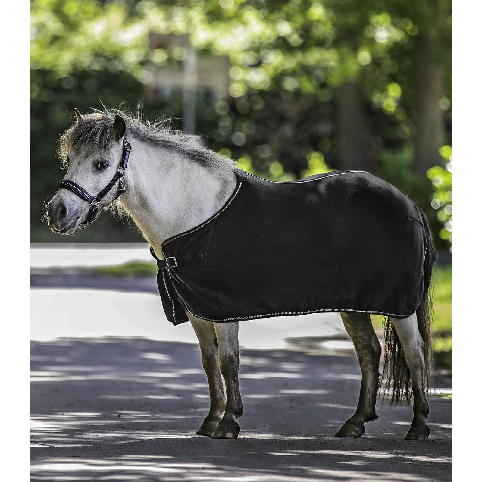 Waldhausen Velo De Cavalo Economic Preto da Decathlon