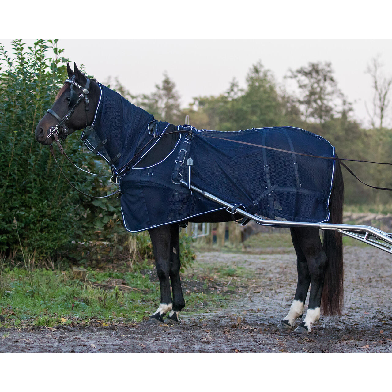 Qhp - Couverture Anti-mouches Pour Cheval Avec Couvre-cou Qhp - Couverture Cheval - Bleu - 155 Cm - Decathlon