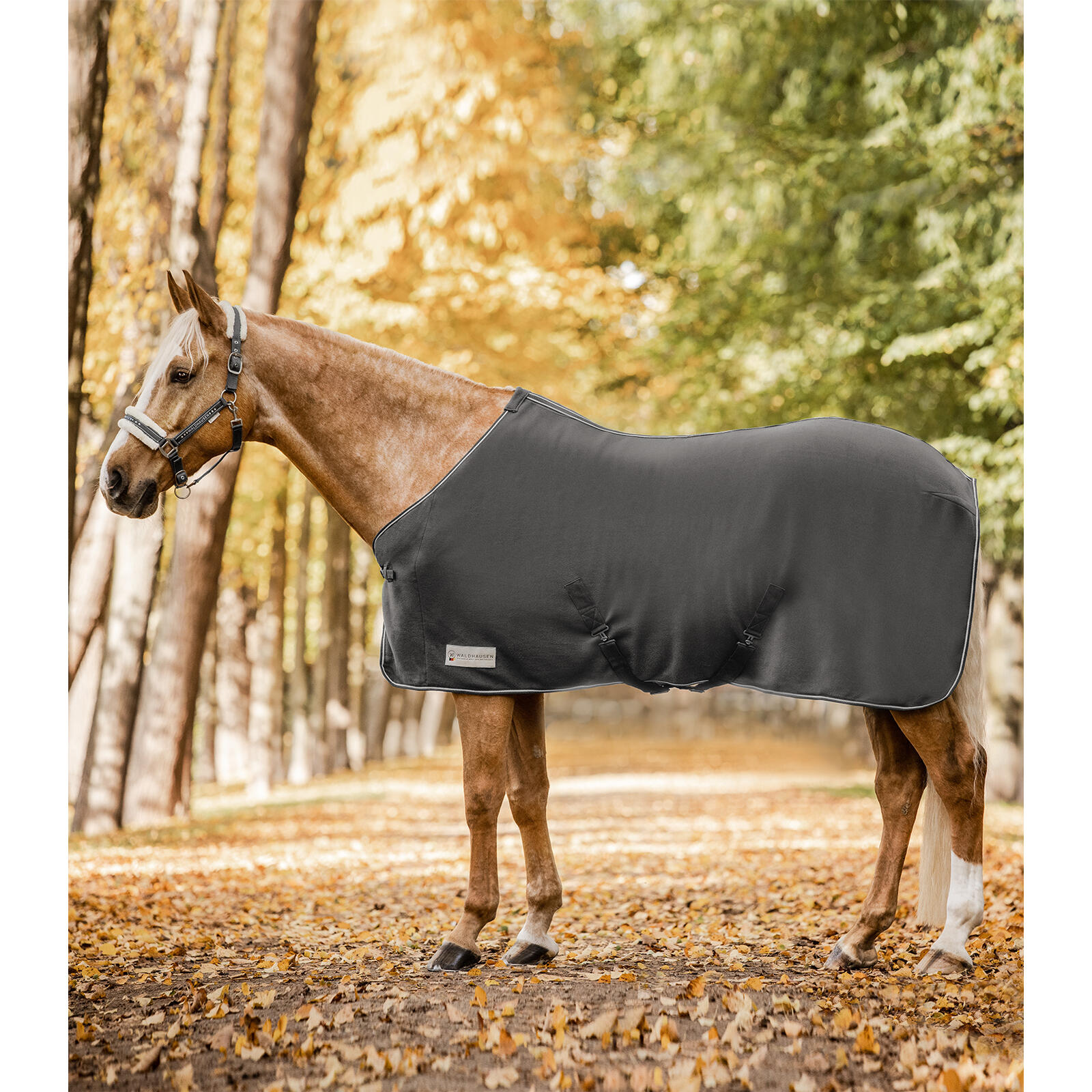 Waldhausen - Polaire Pour Cheval Avec Sangles Croisées Waldhausen Economic - Chemise Cheval - Gris - 135 Cm - Decathlon