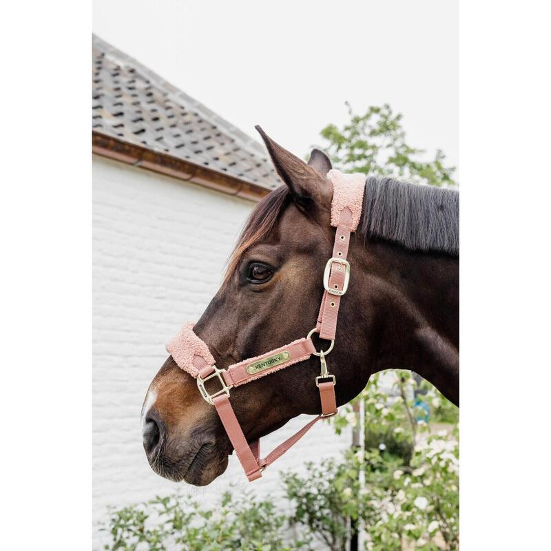 Kentucky Teddy Fleece Halster Roze -