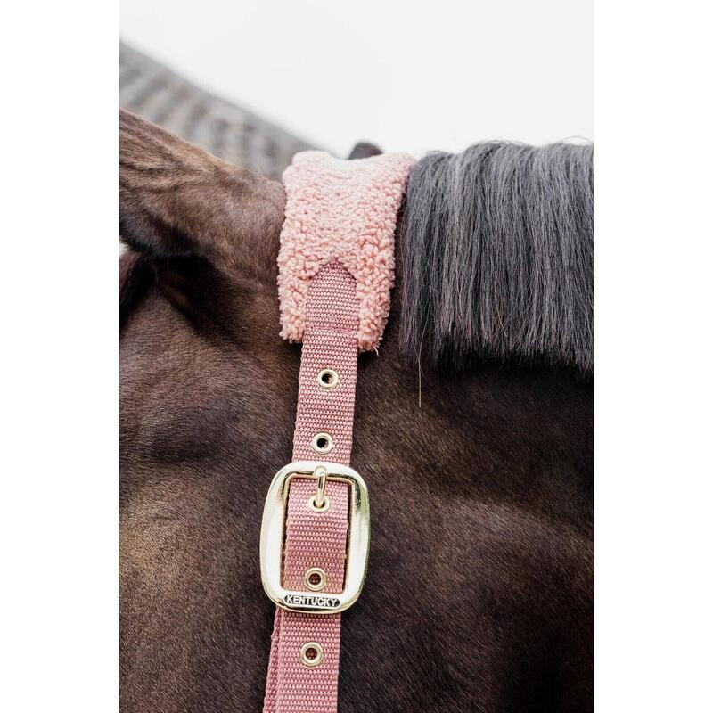 Kentucky Teddy Fleece Halster Roze -
