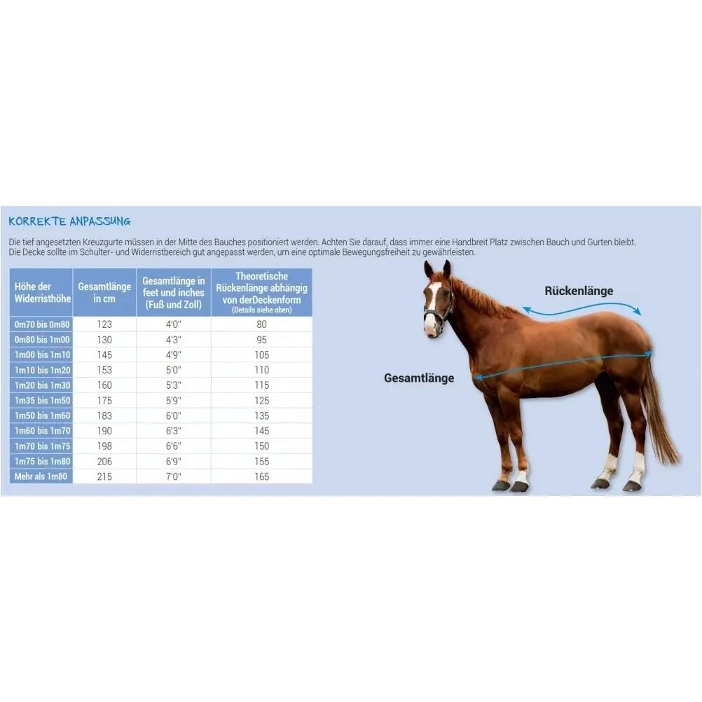 Hemd für Pferd Riding World Polaire 6/6