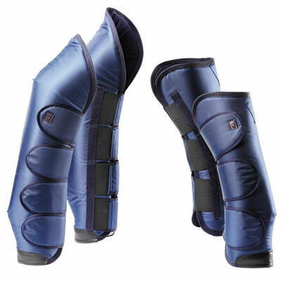 Paarden transporters, pijpen tattini