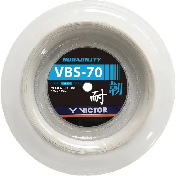 VICTOR picture