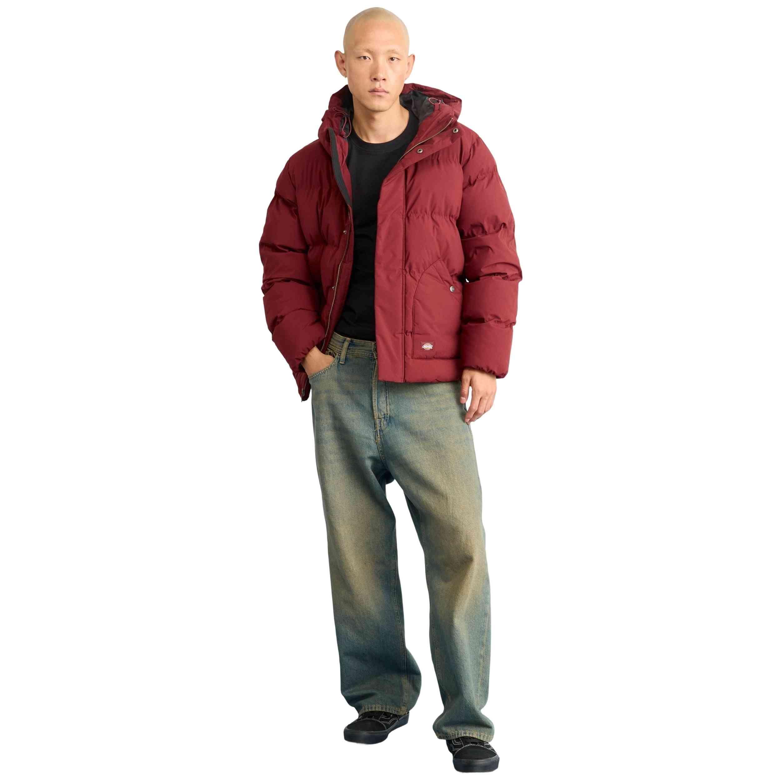 Manteau Dickies modèle DK0A87OHL161 pour homme 3/5