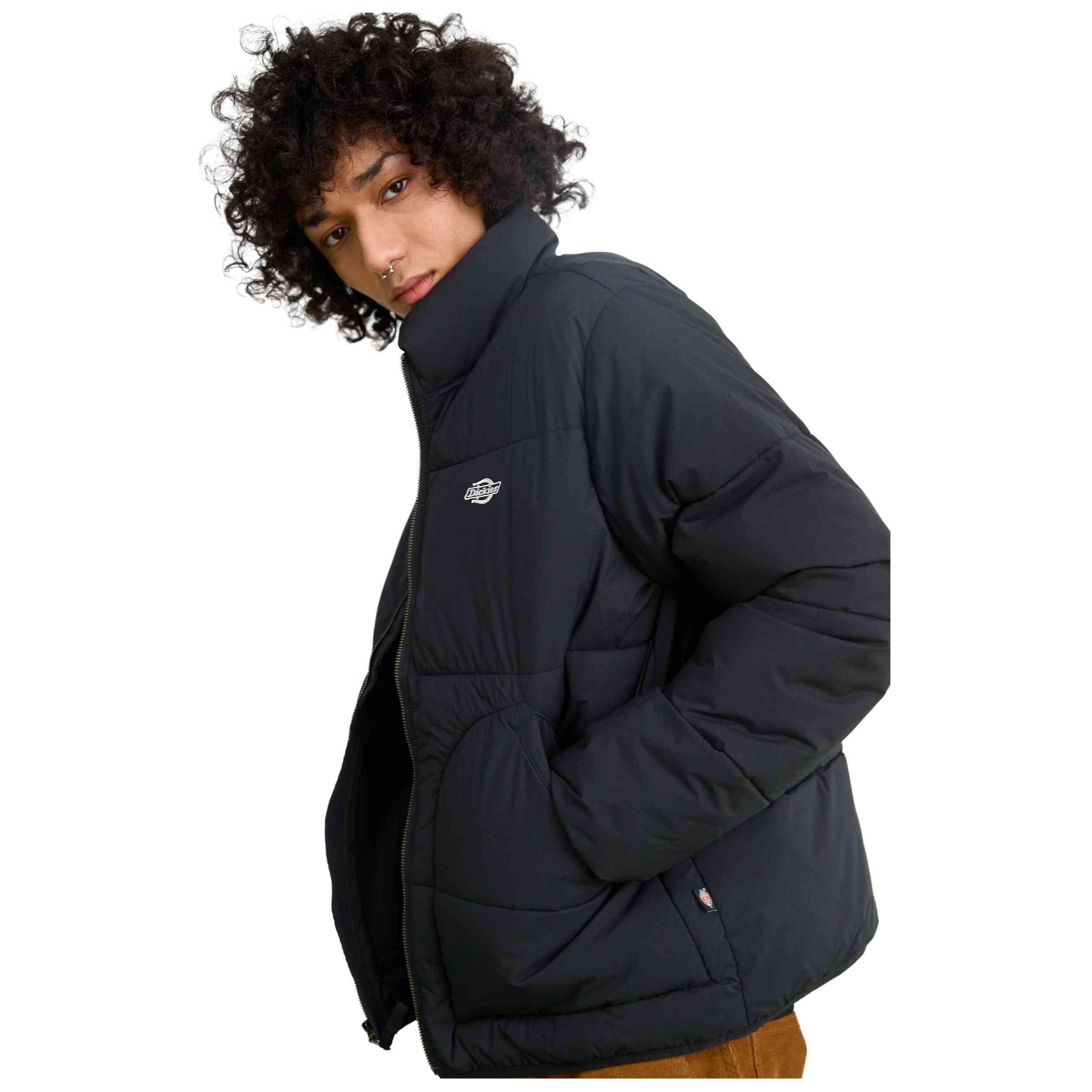 Jas Dickies model DK0A87OGBLK1 voor mannen 5/5