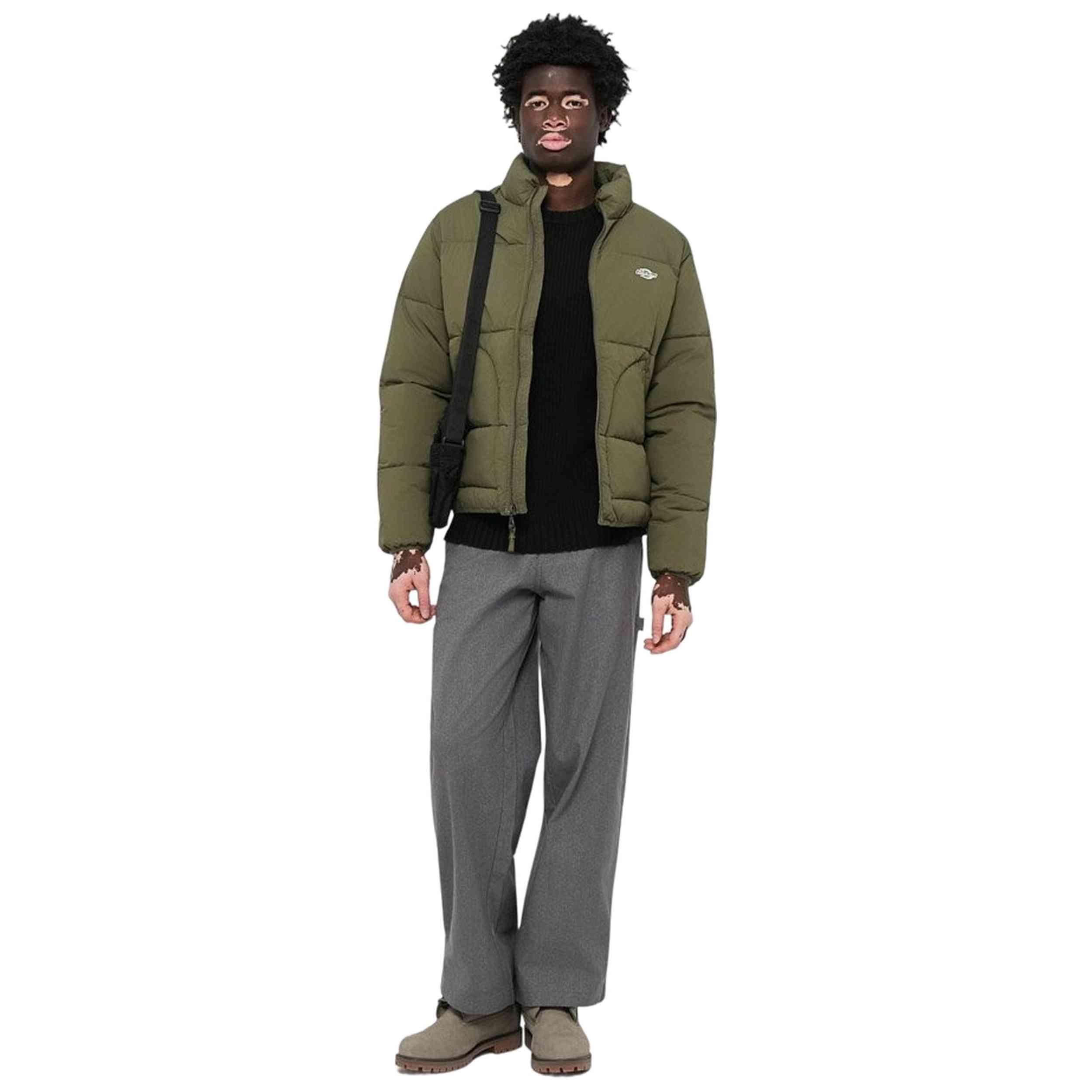 Cappotto Dickies modello DK0A87OGMGR1 per uomini 2/5