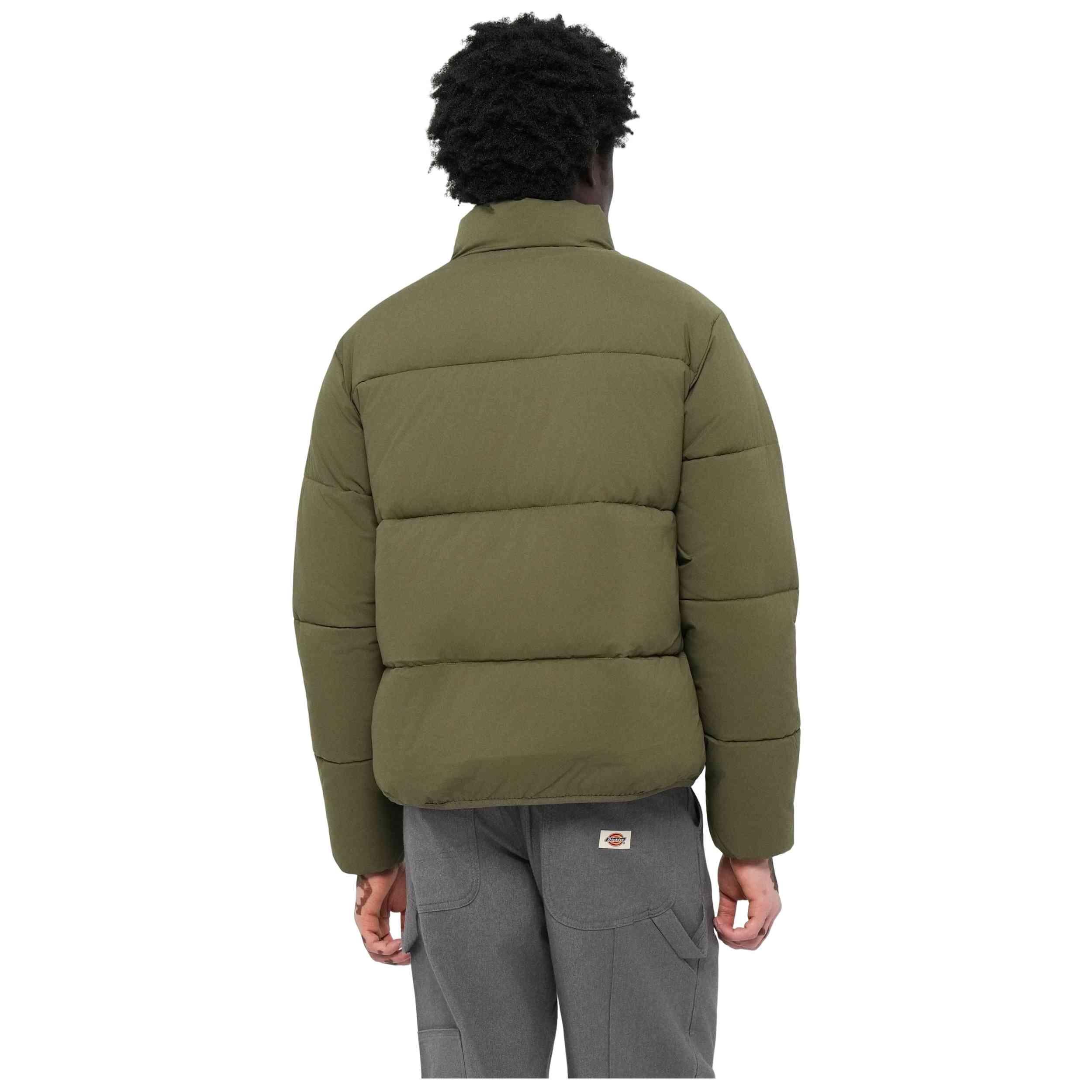 Cappotto Dickies modello DK0A87OGMGR1 per uomini 4/5