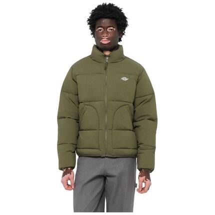 Manteau Dickies modèle DK0A87OGMGR1 pour homme