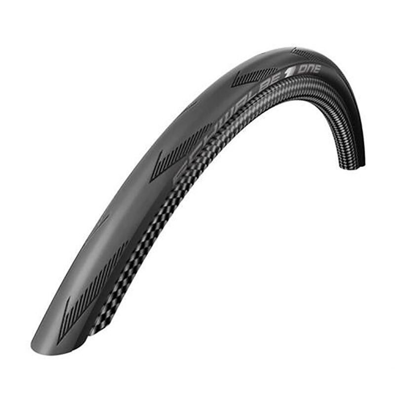 SCHWALBE picture