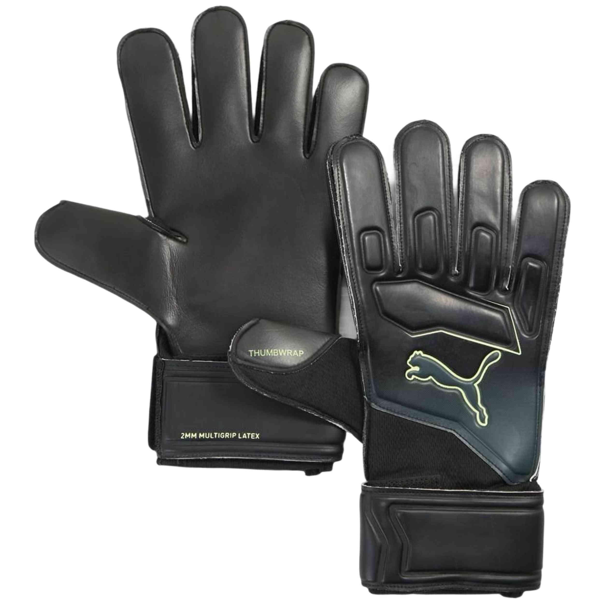 PUMA picture