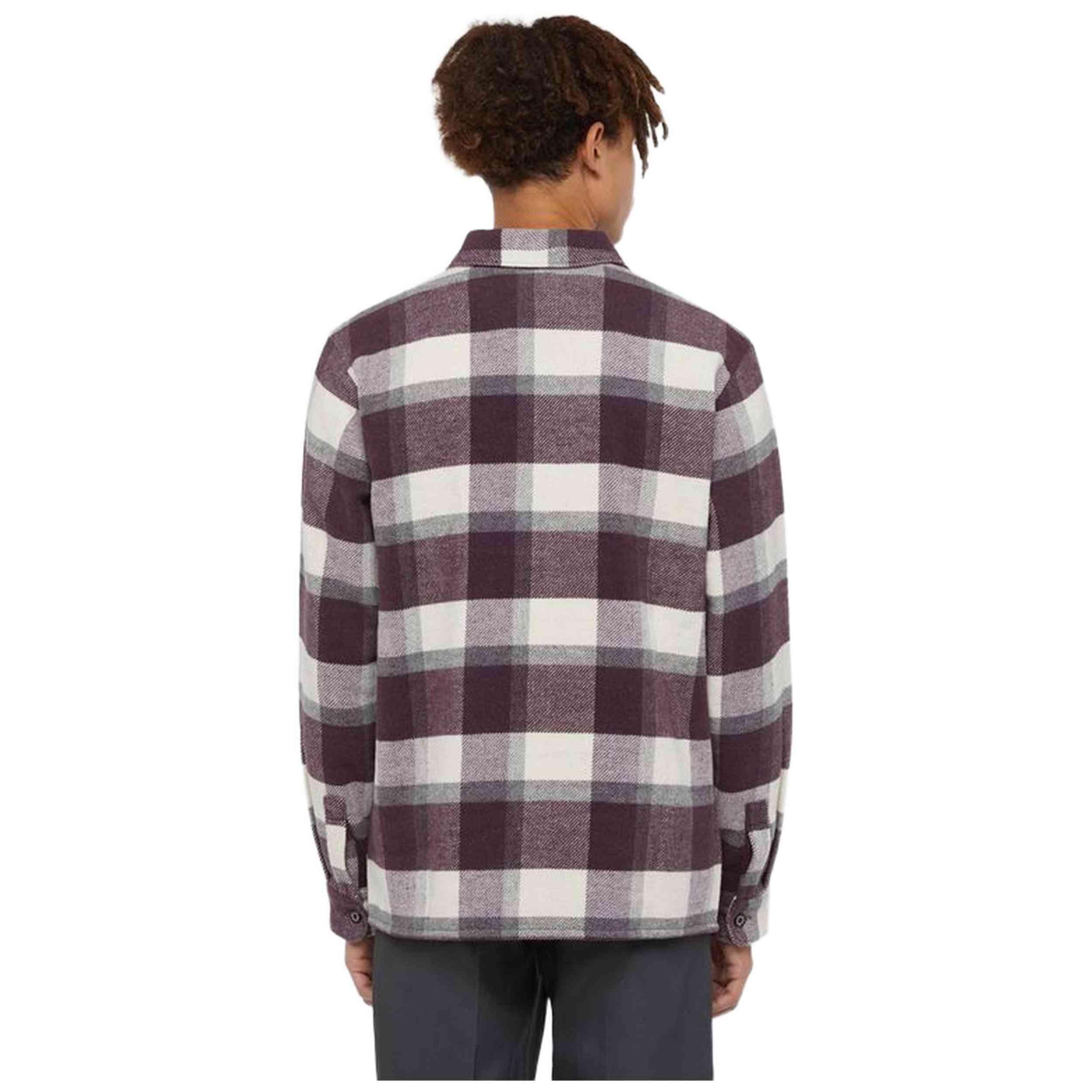 Chemise Dickies modèle DK0A4XZZJ561 pour homme 2/4