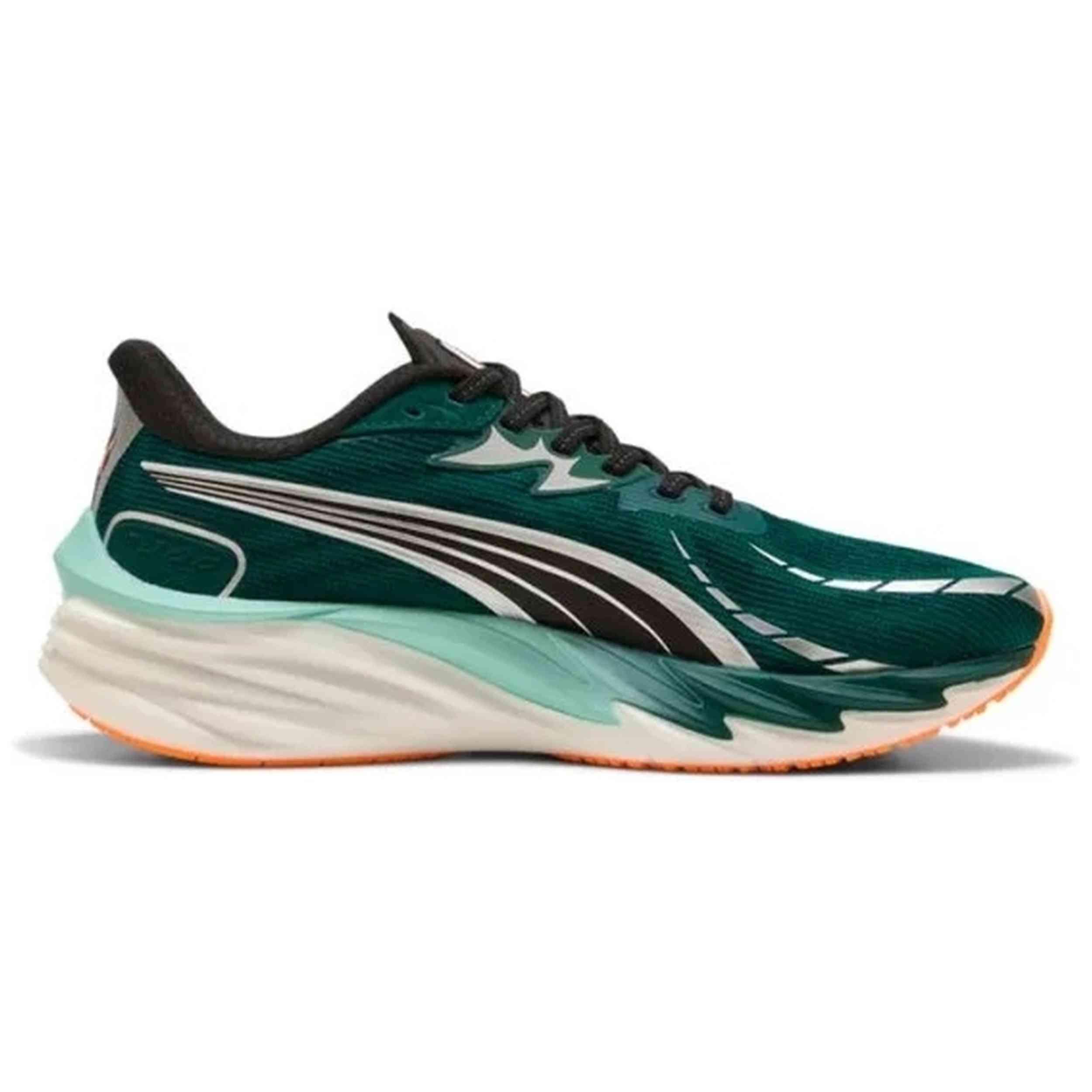 PUMA picture