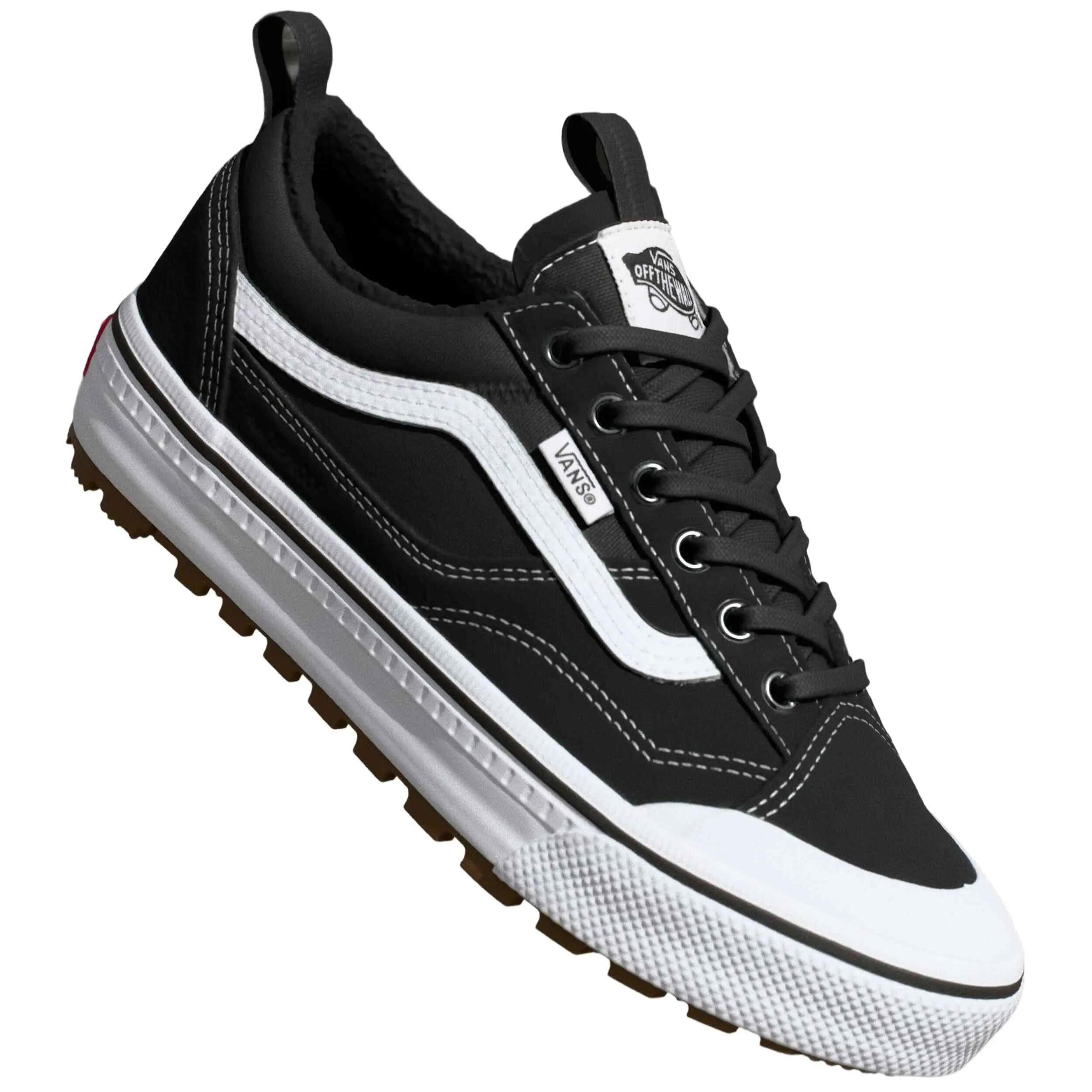 VANS picture