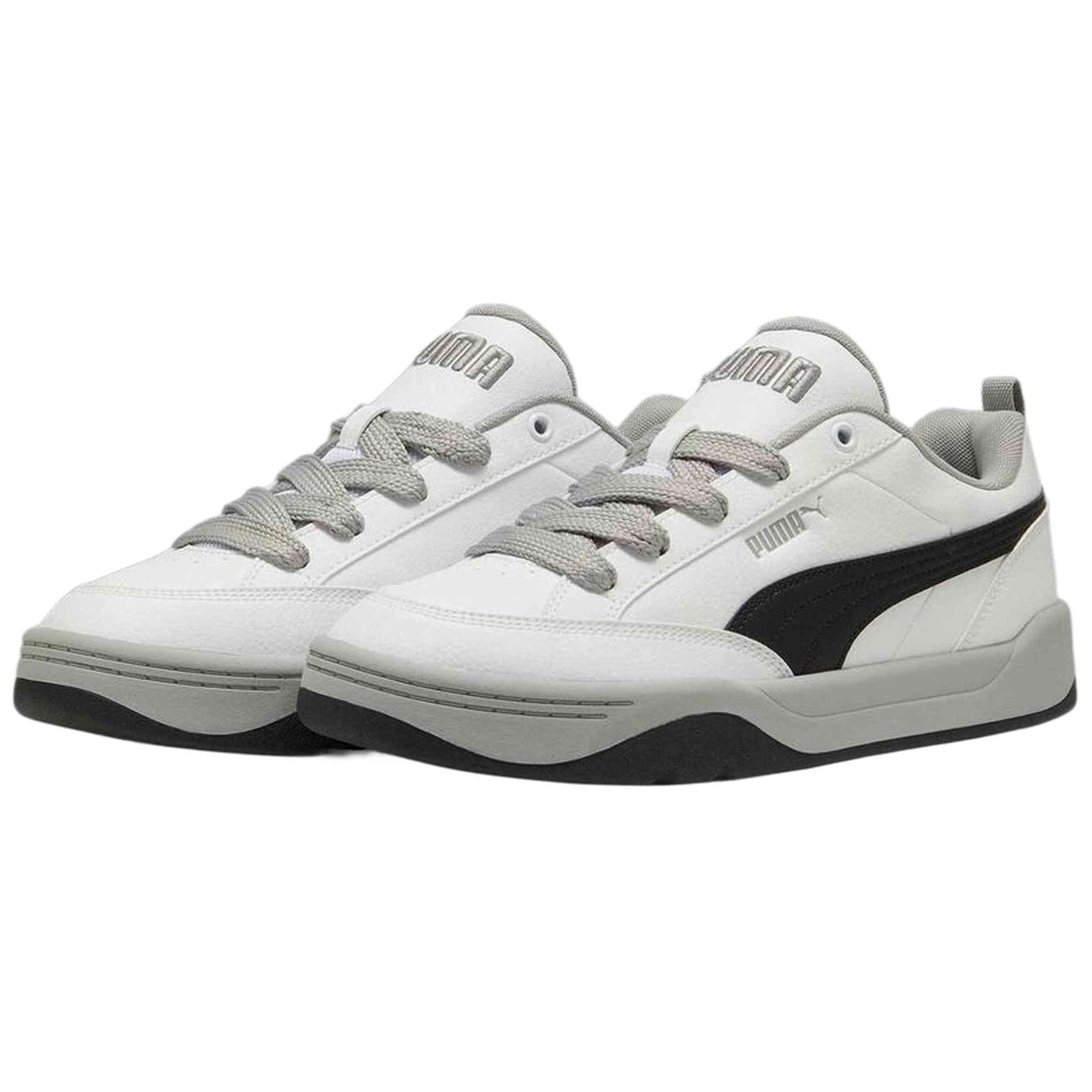 PUMA picture
