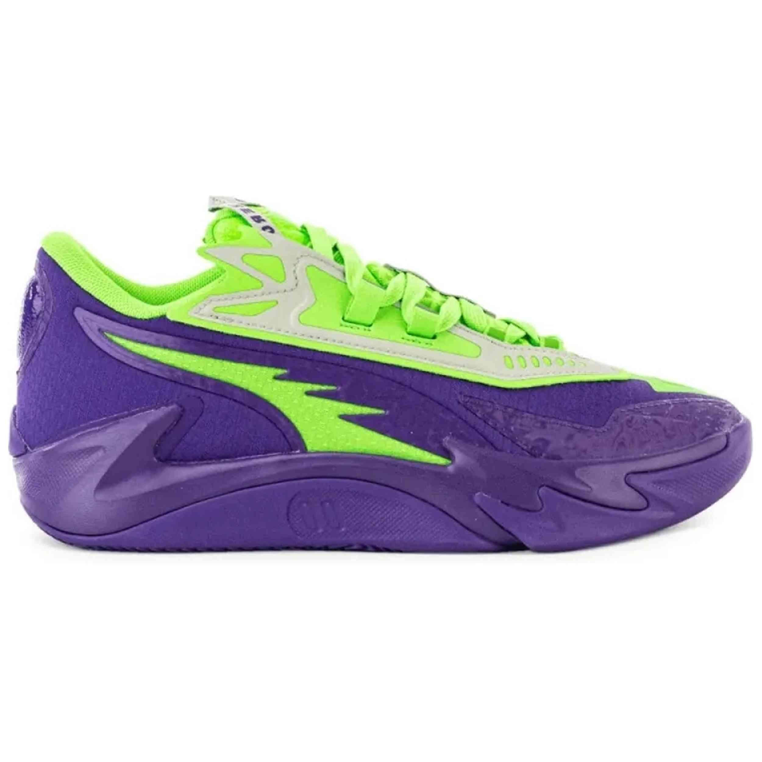PUMA picture