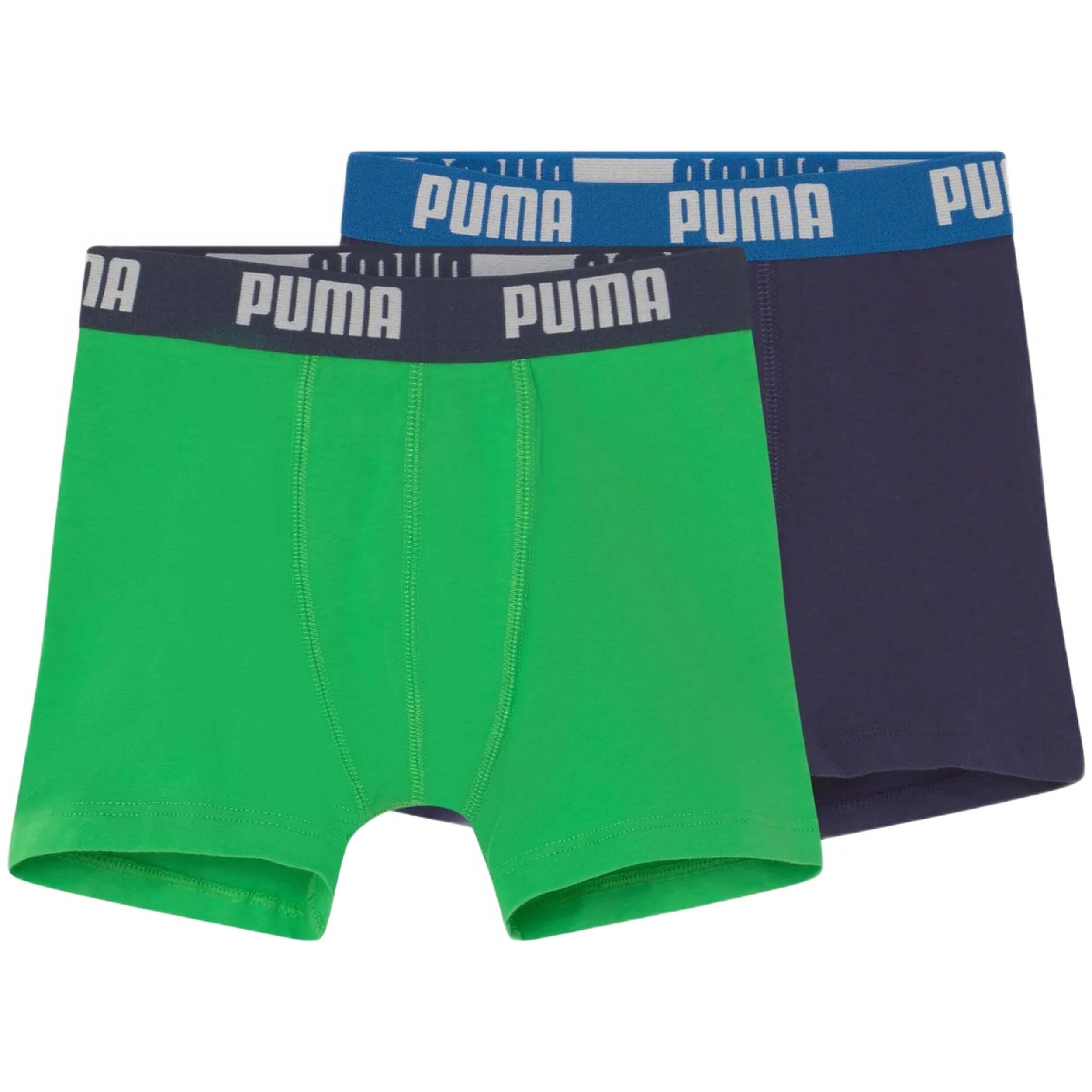 PUMA picture