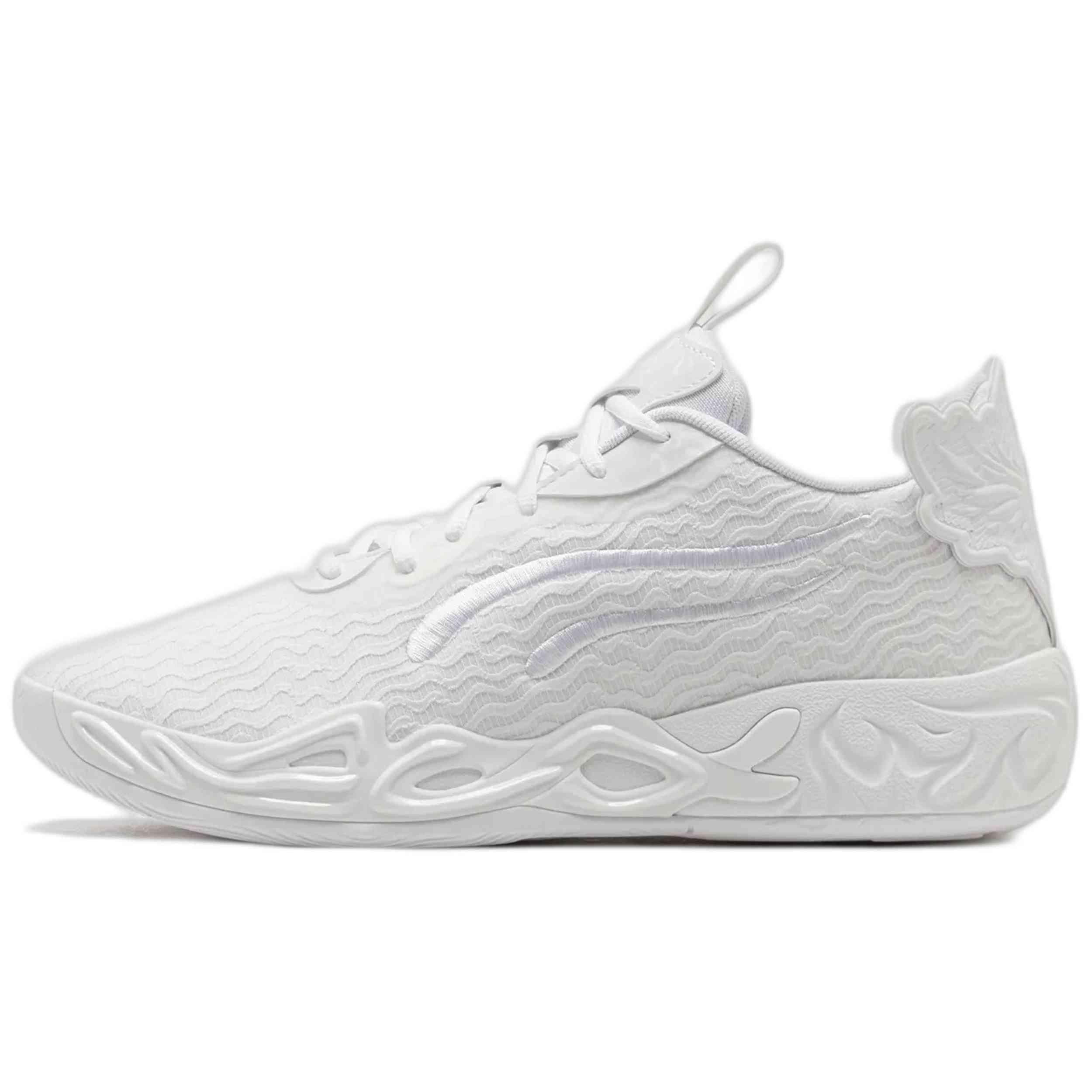 PUMA picture