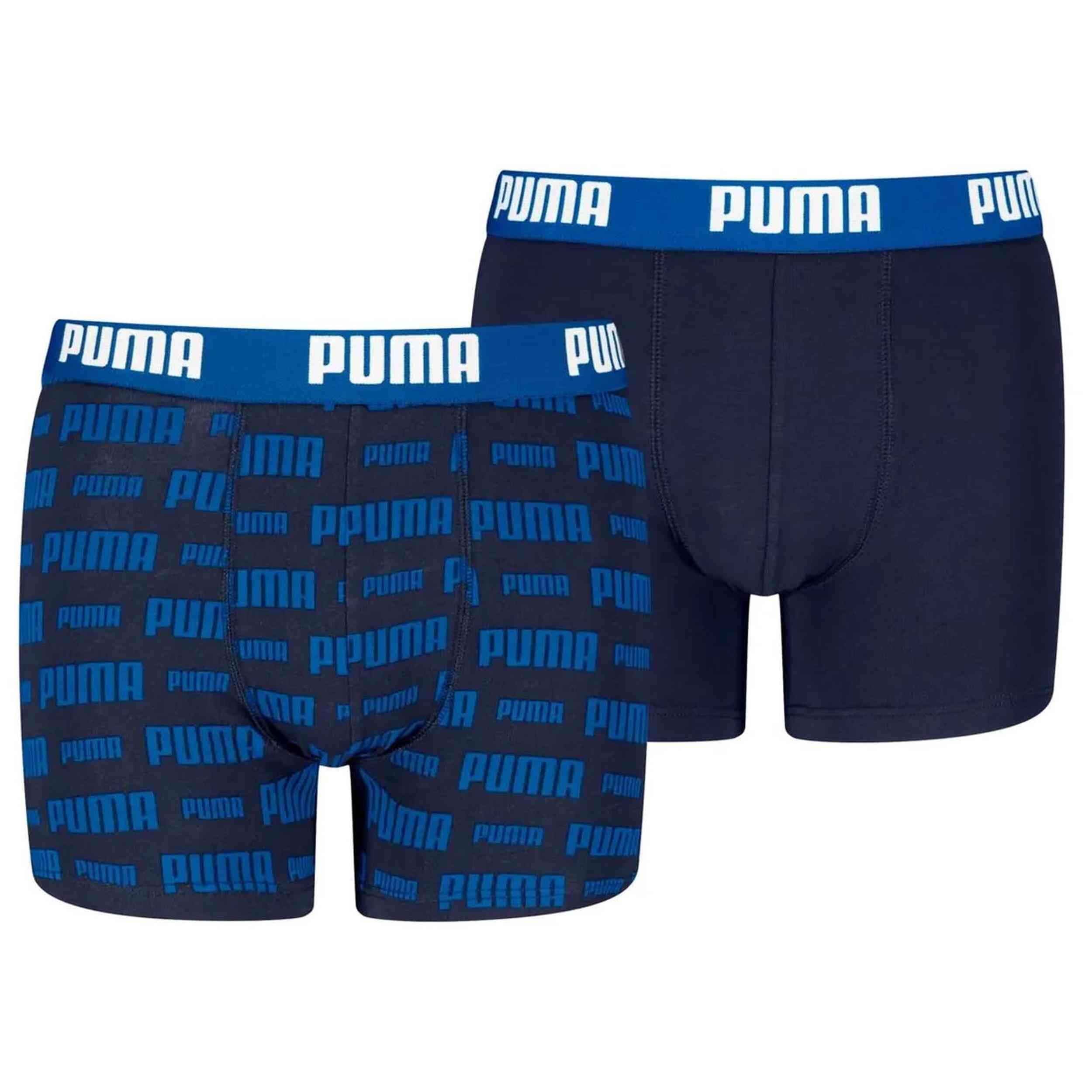 PUMA picture