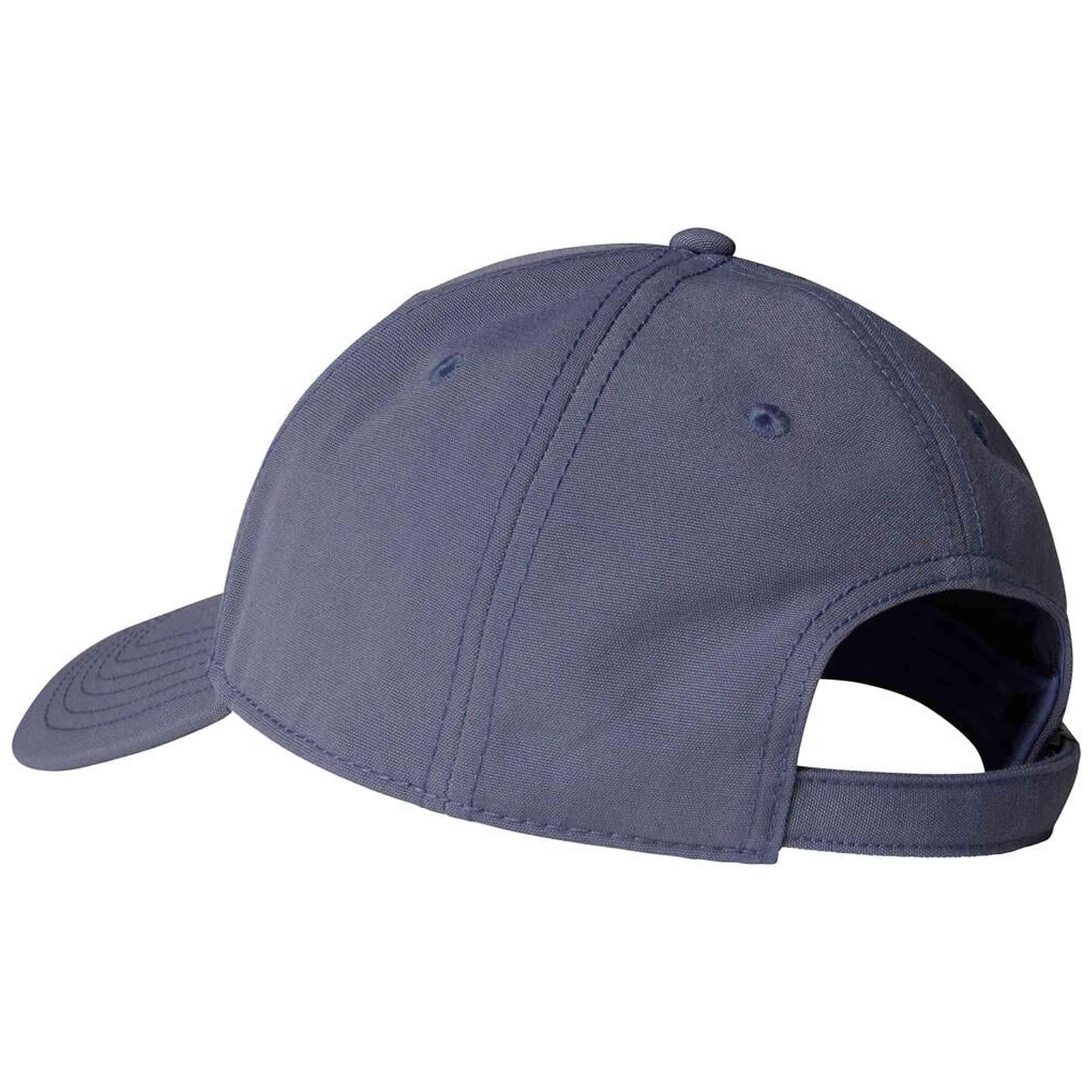 Pet The north face model NF0A4VSVBTR1 voor unisex 2/2