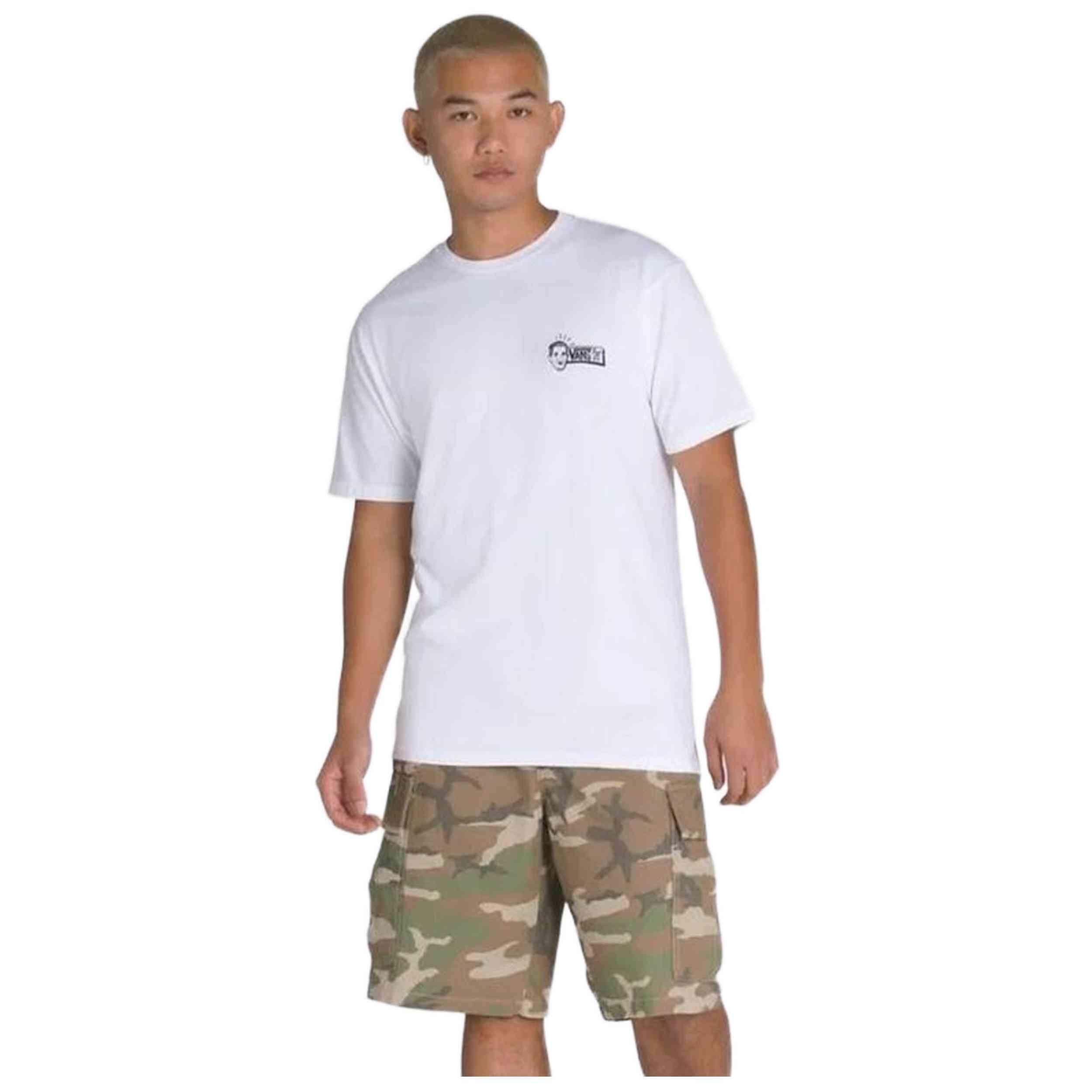 VANS picture