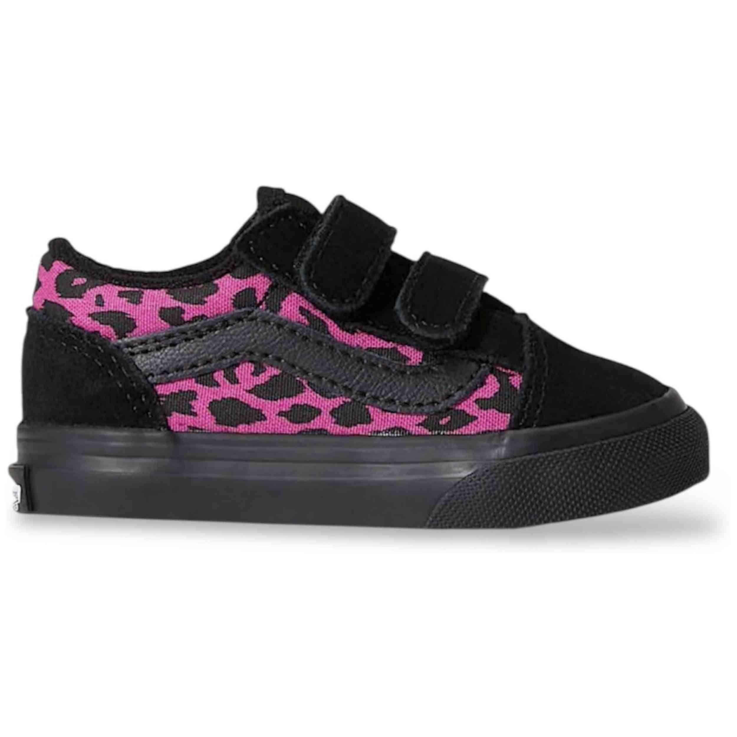 VANS picture