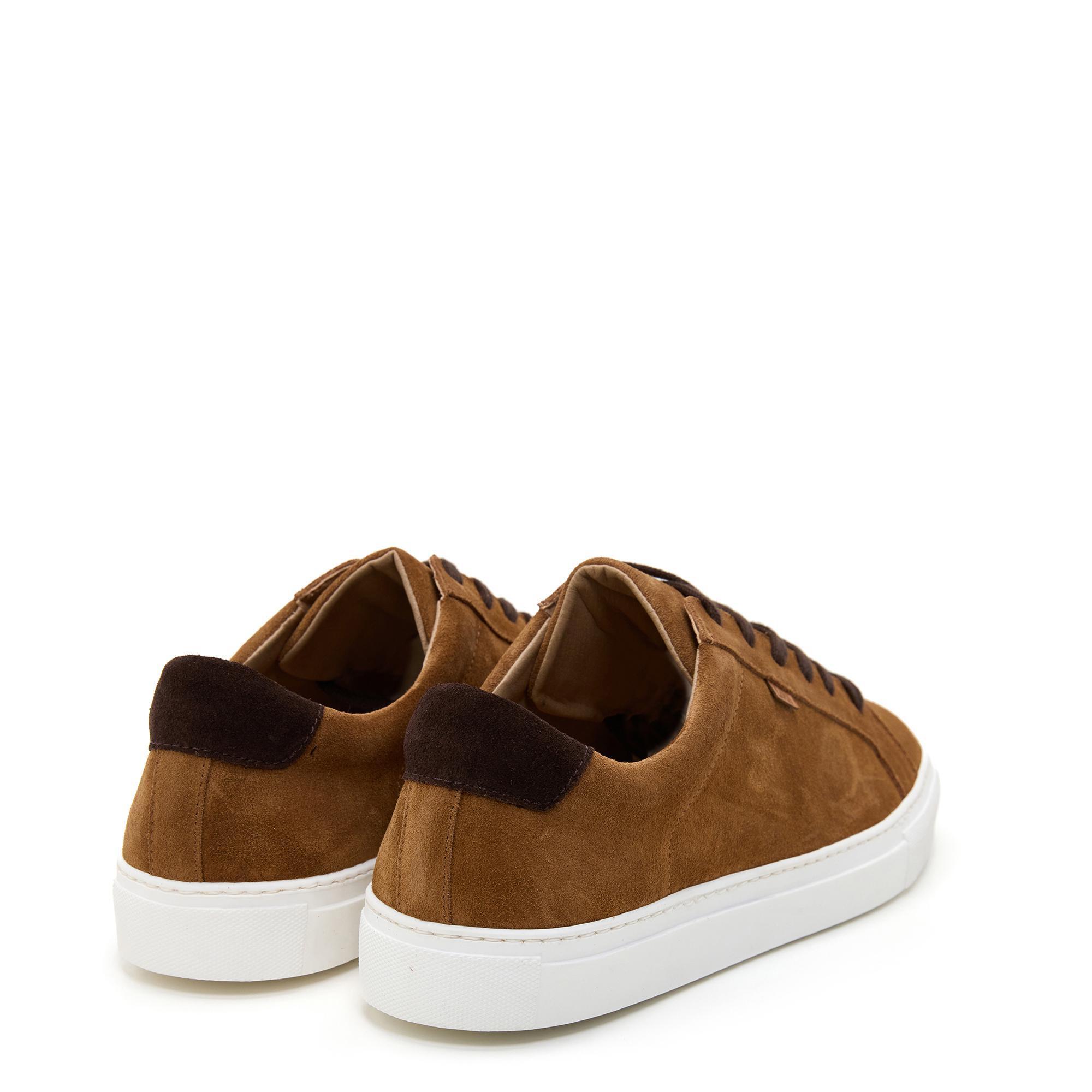 Zapatillas Hombre Lois 74445 Camel 3/5