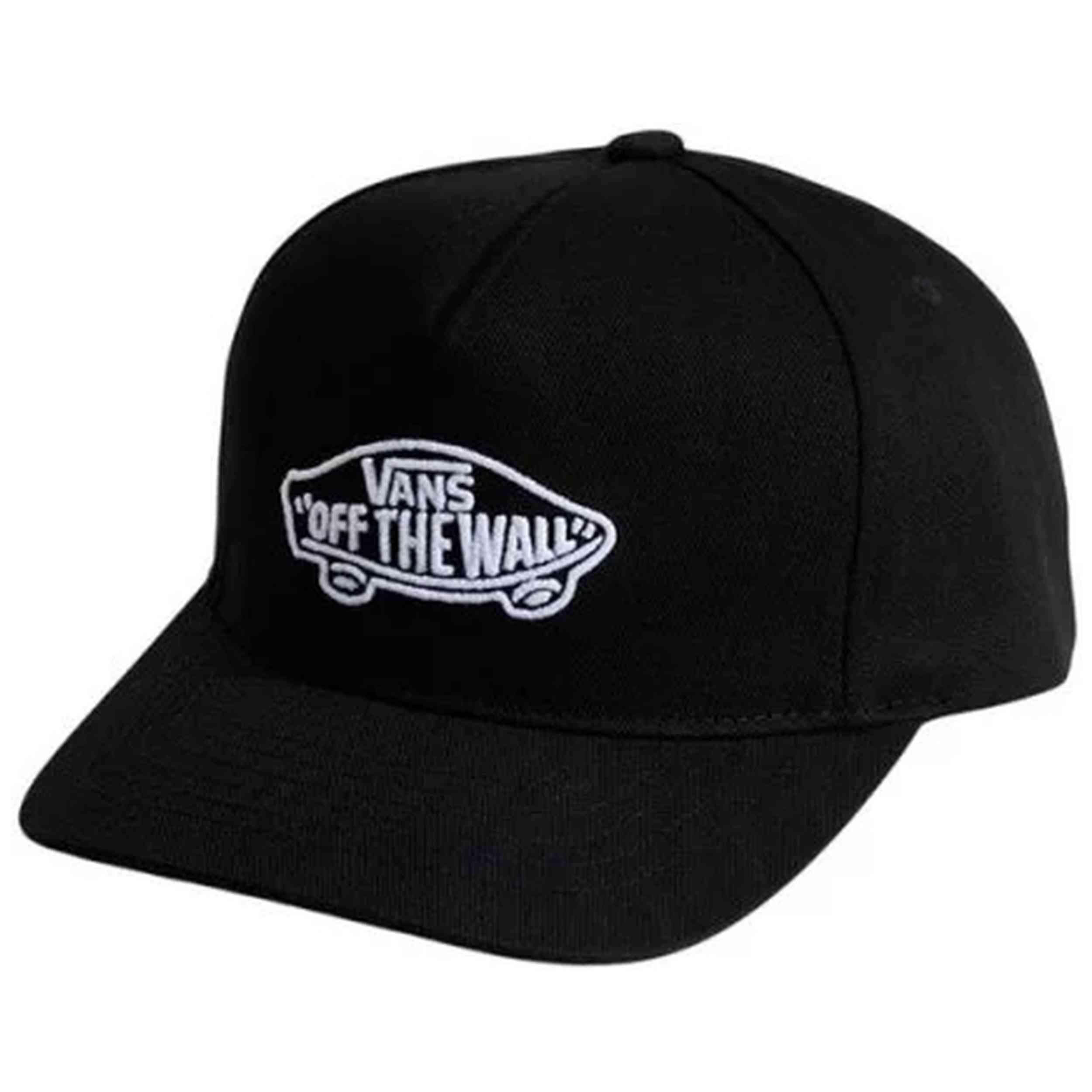 VANS picture