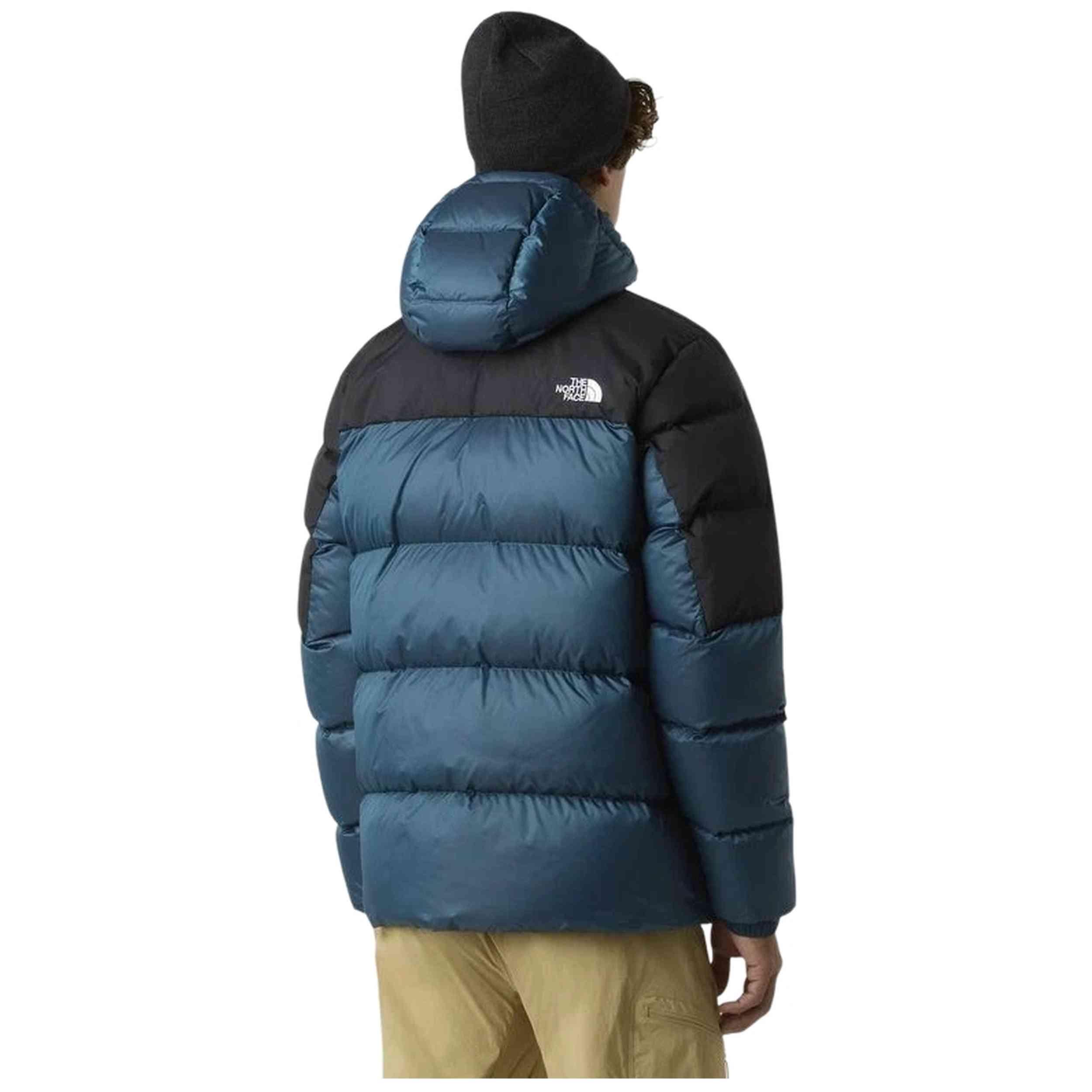 Jas The north face model NF0A8992EIO1 voor mannen 2/3