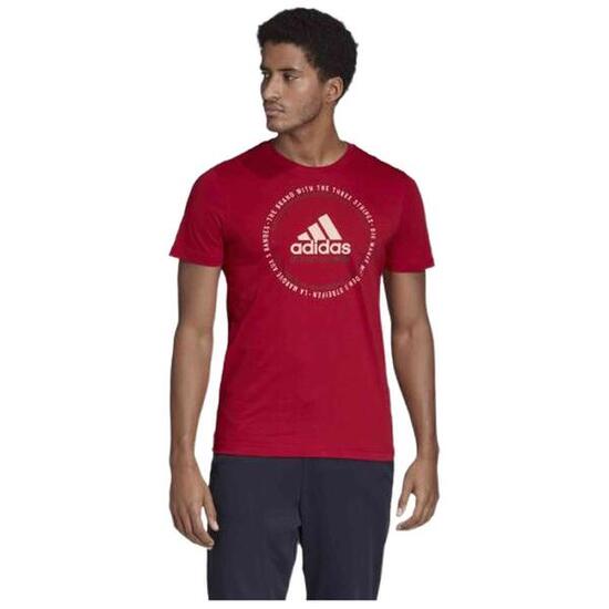 T-shirt Adidas modèle DV2967 pour homme