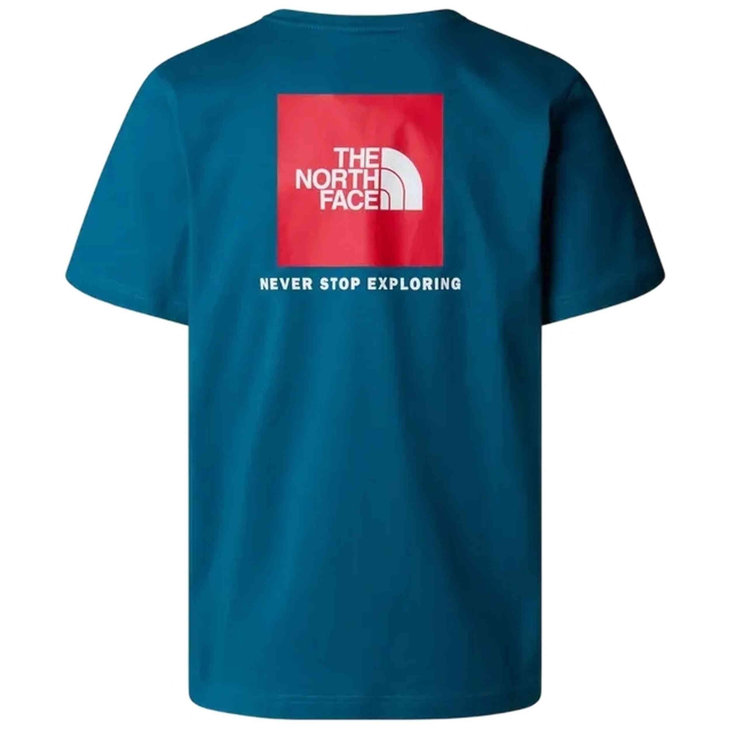 T-shirt The north face modèle NF0A87NPF9T pour homme 2/2