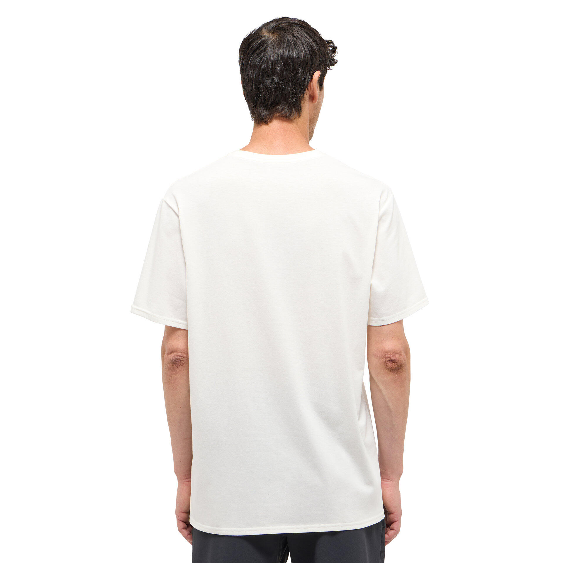 Camiseta Haglöfs Outsiders 3/5