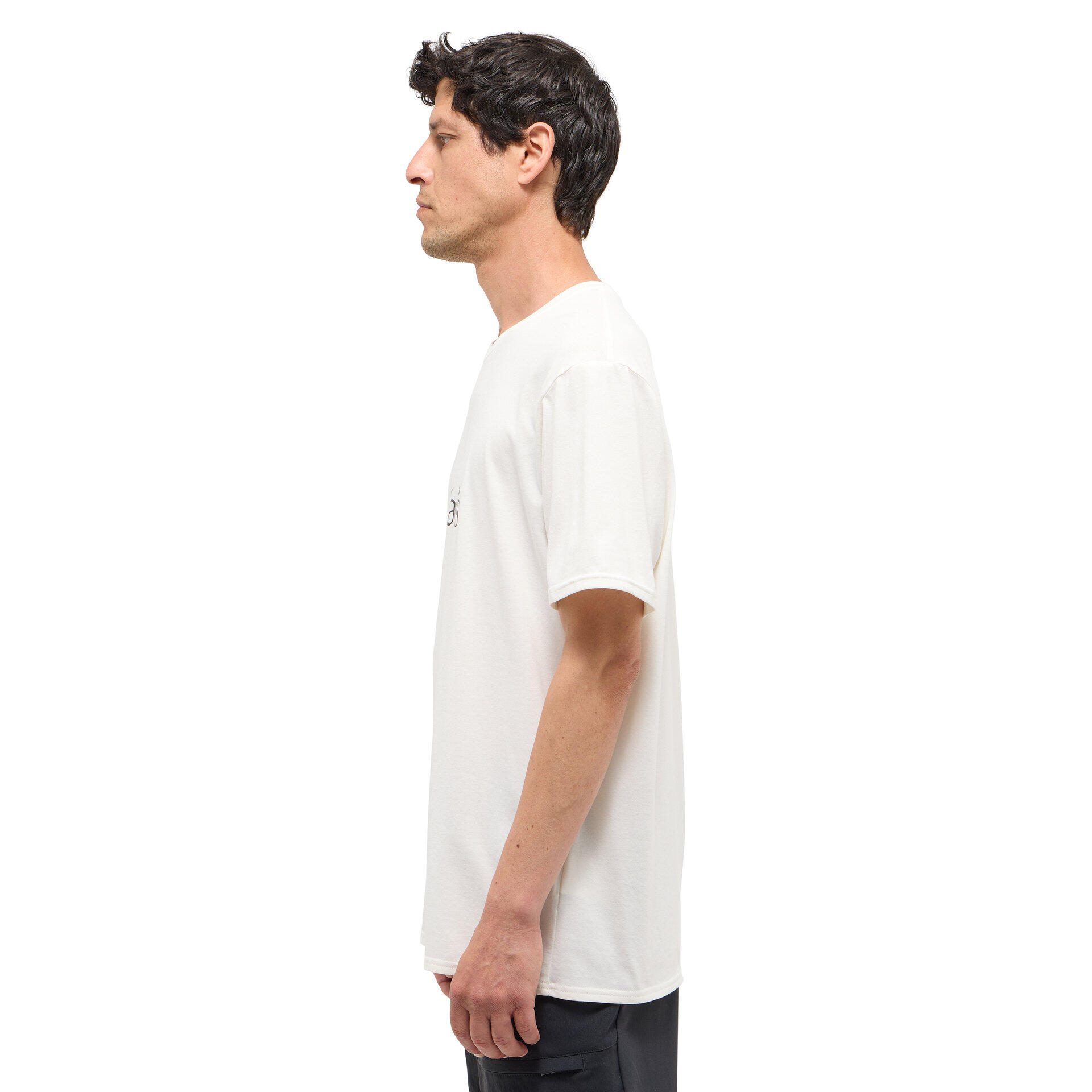 Camiseta Haglöfs Outsiders 4/5